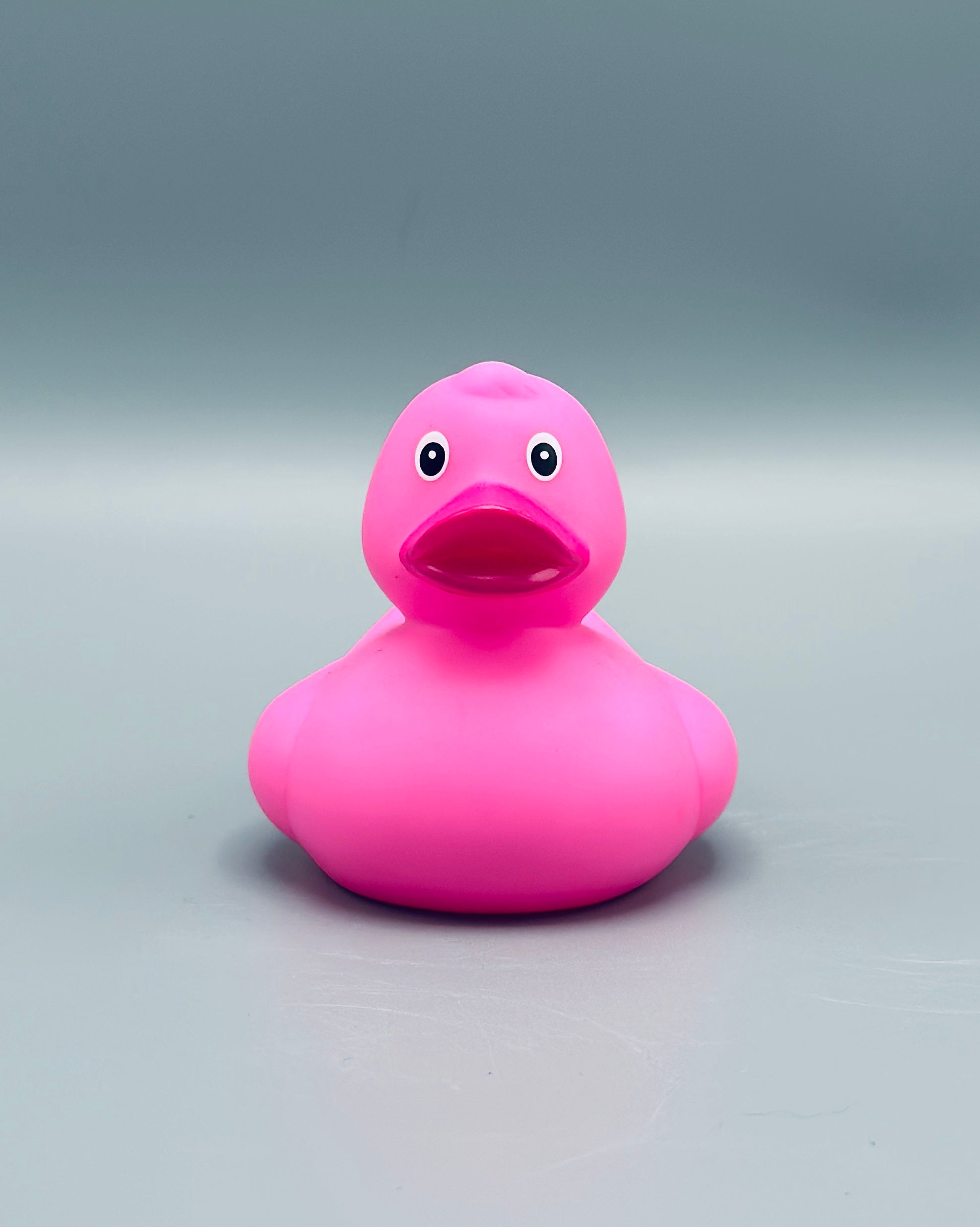 Bright Pink Duck