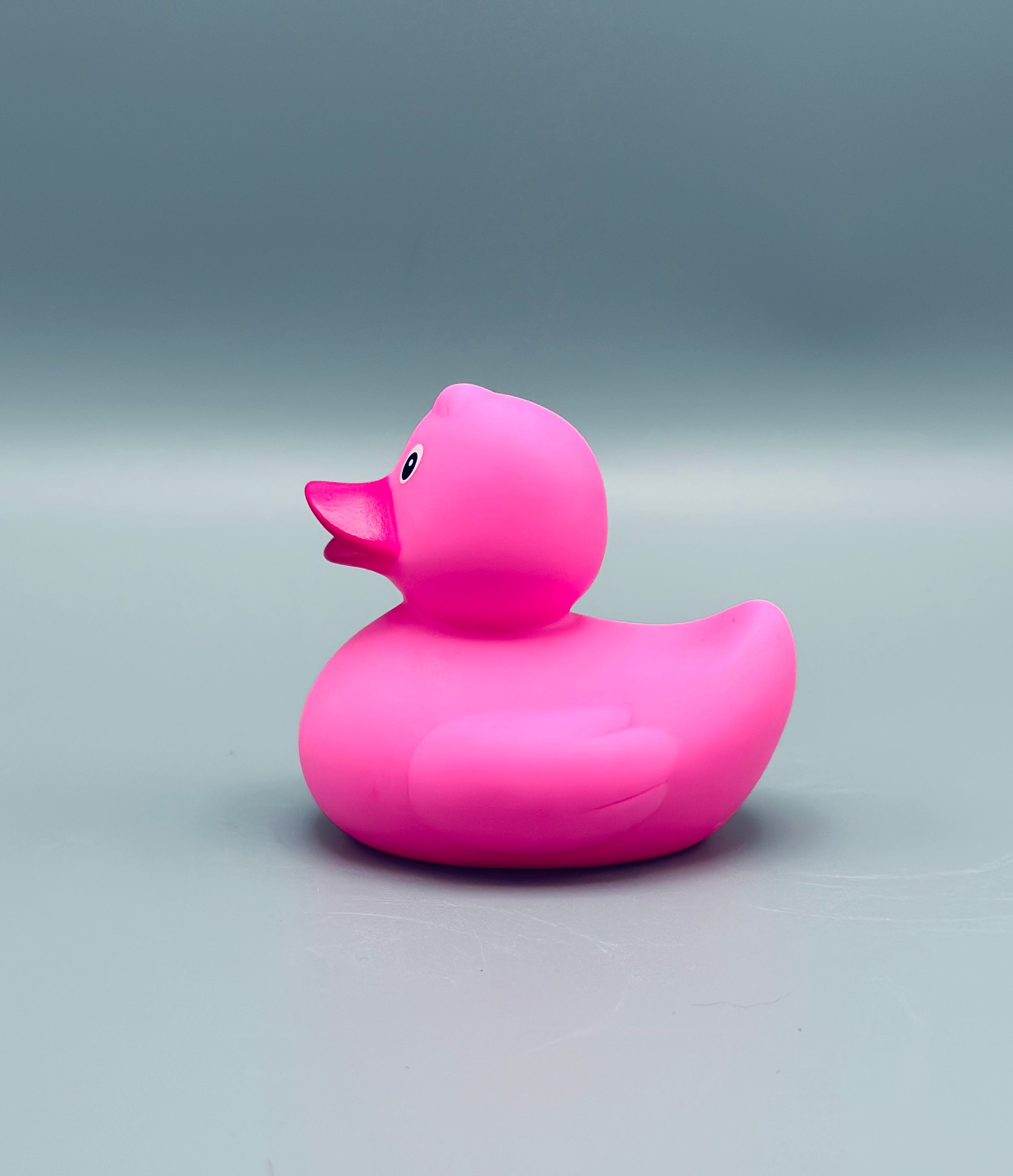 Bright Pink Duck