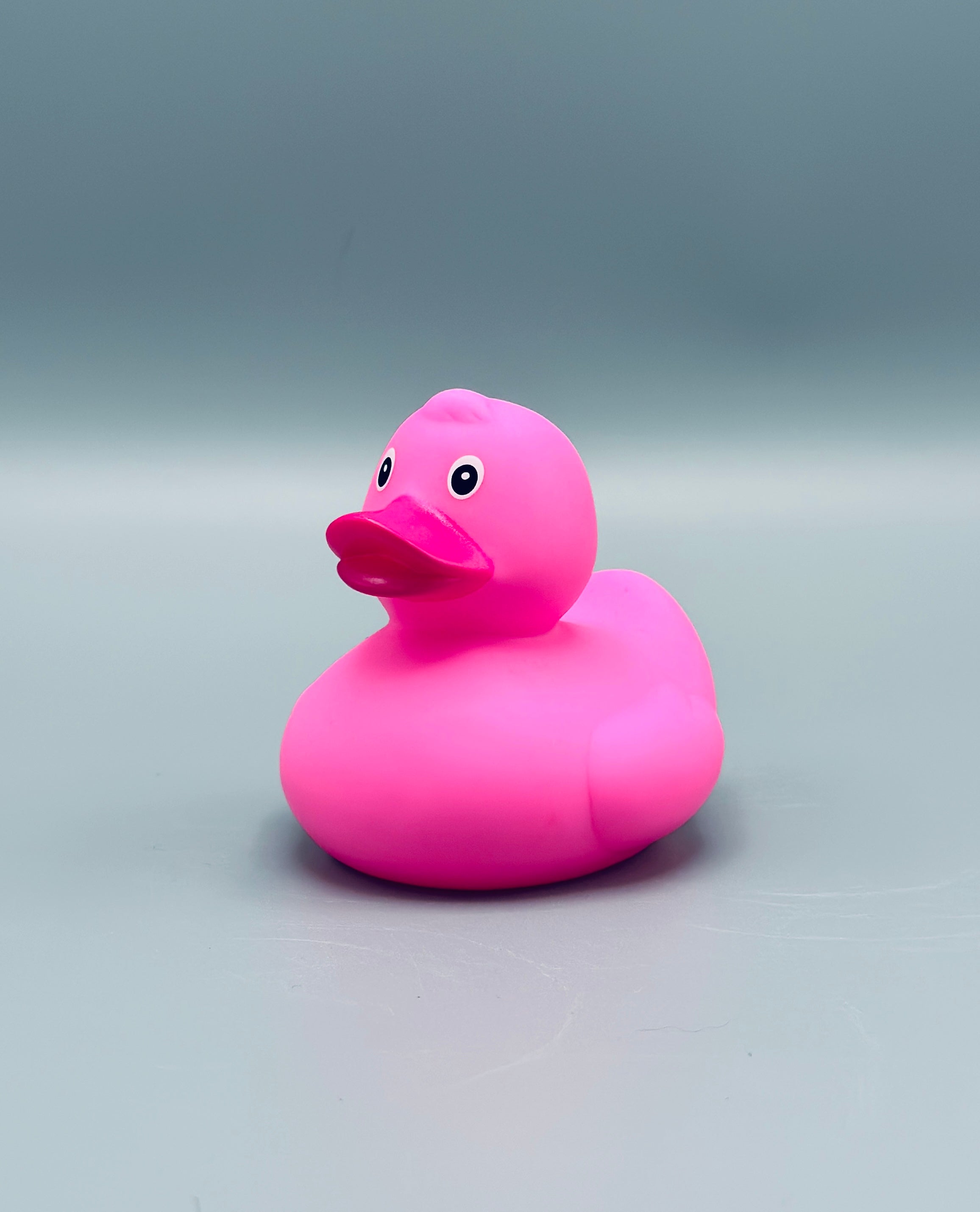 Bright Pink Duck