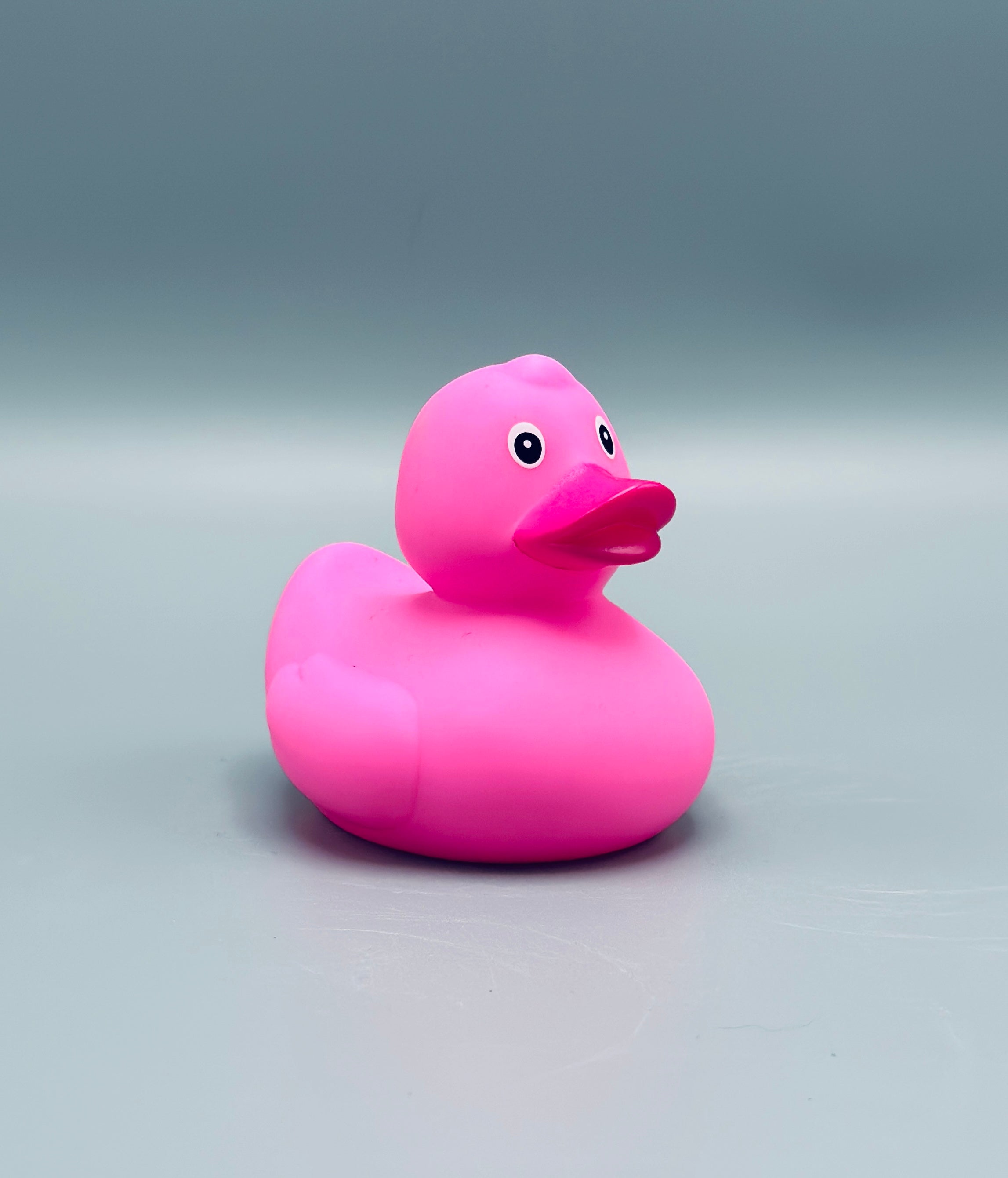 Bright Pink Duck