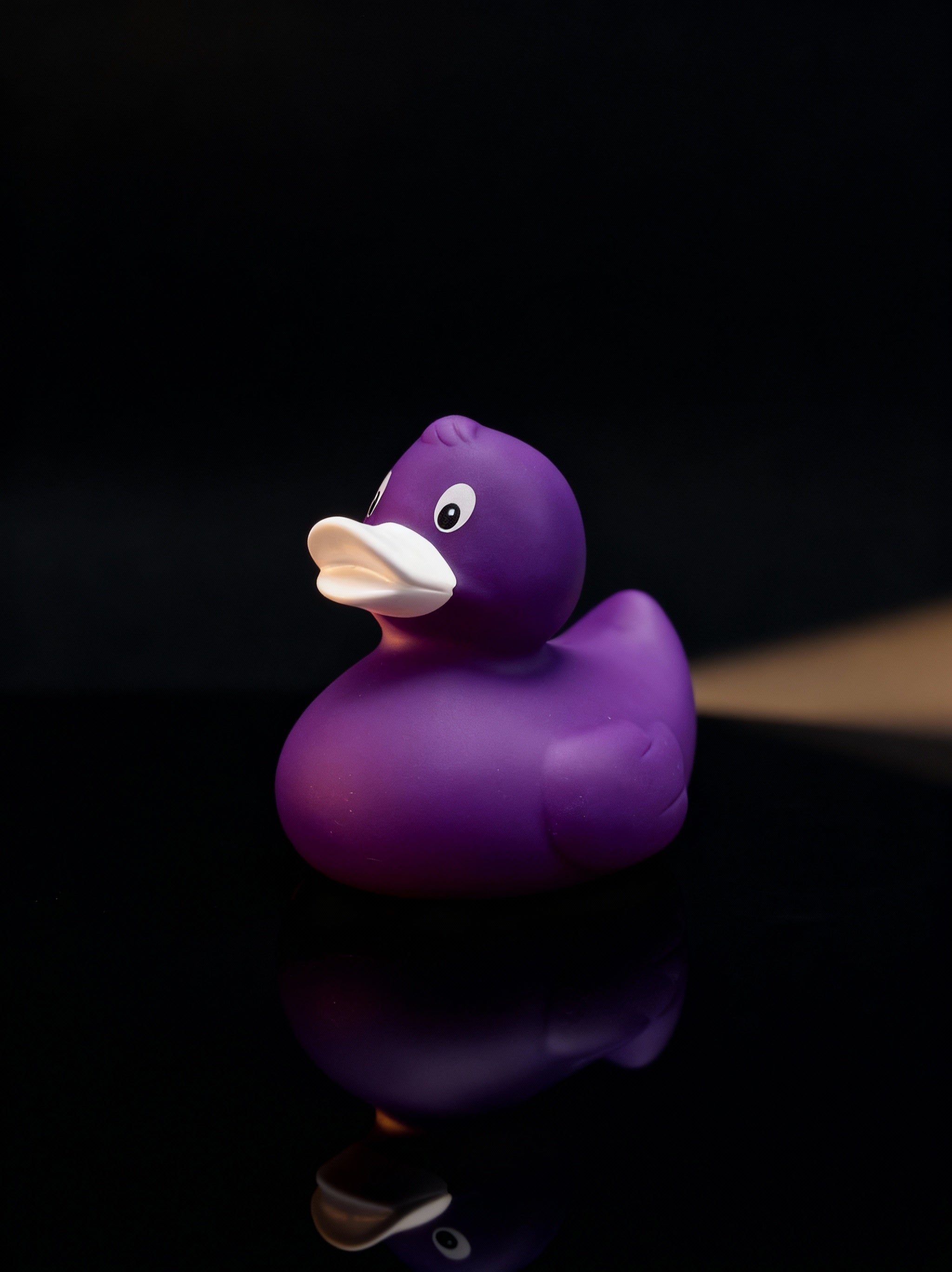 Deep Purple Duck