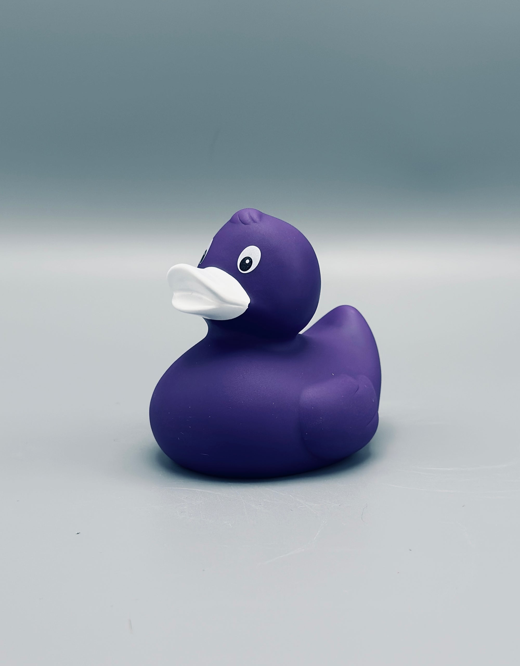 Deep Purple Duck
