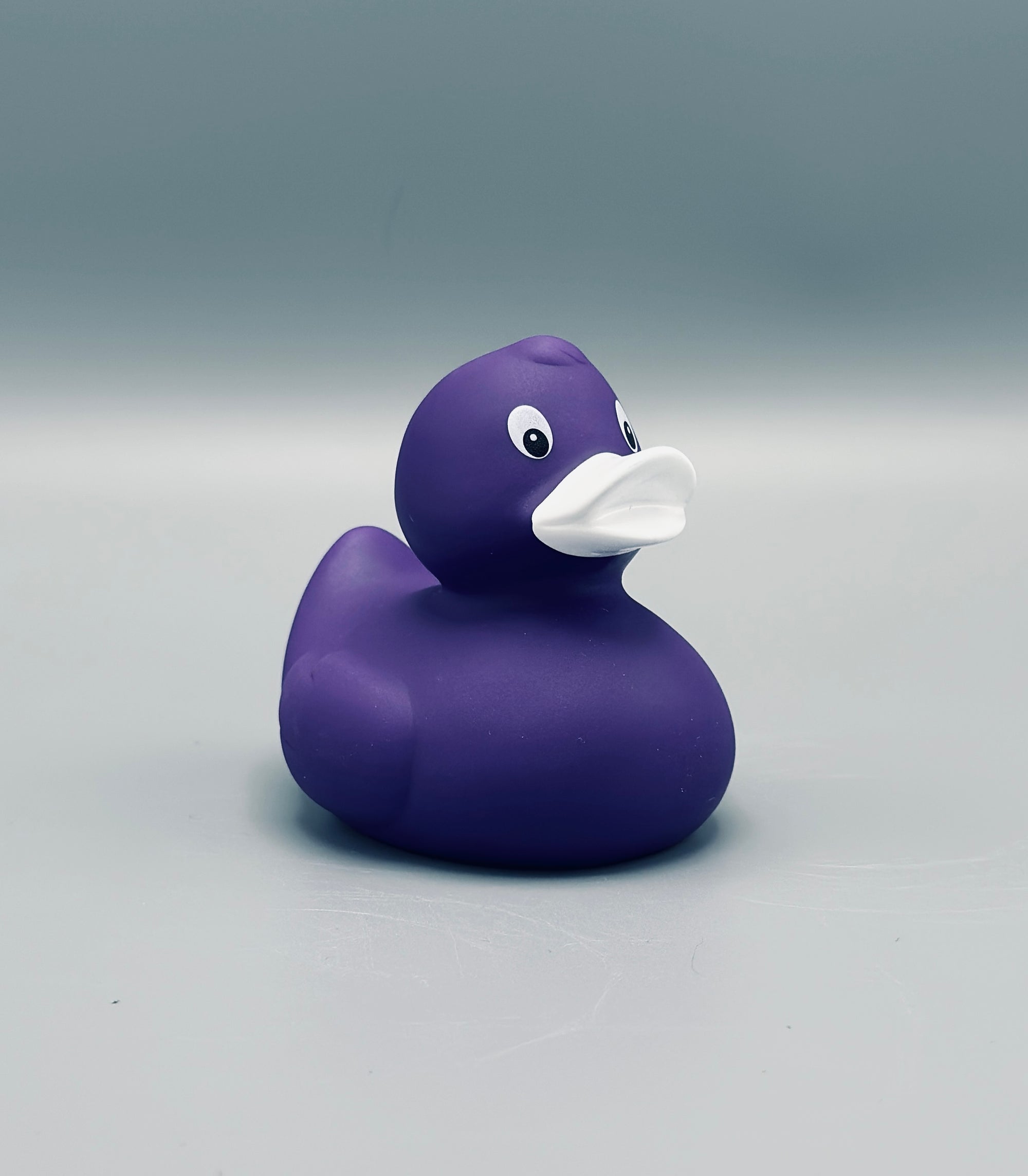 Deep Purple Duck