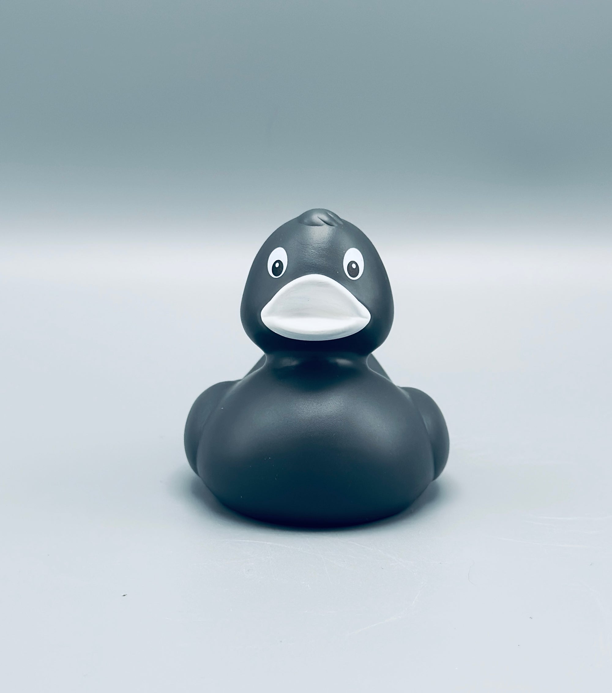 Graphite Duck