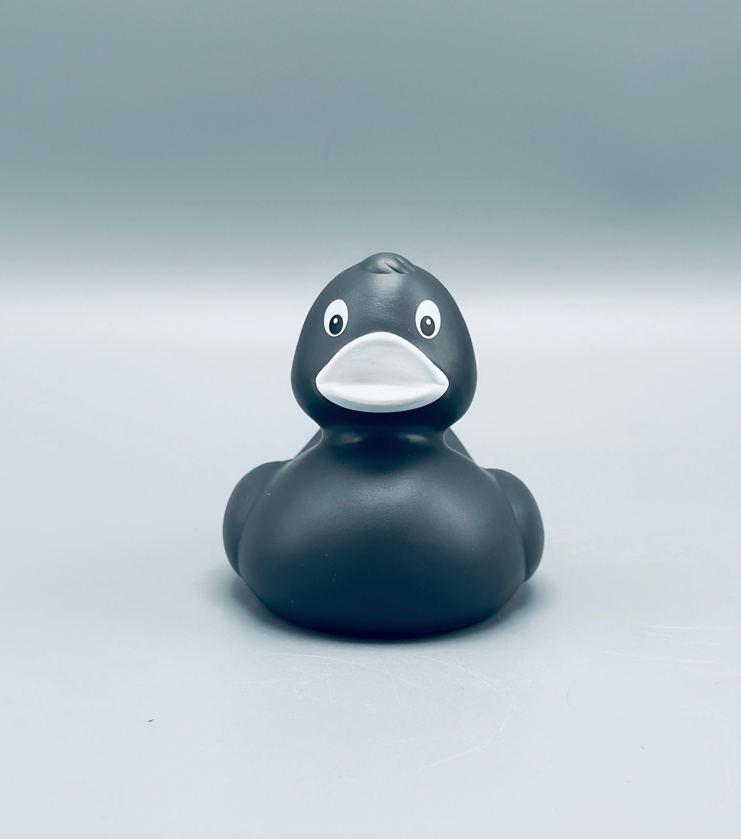 Graphite Duck