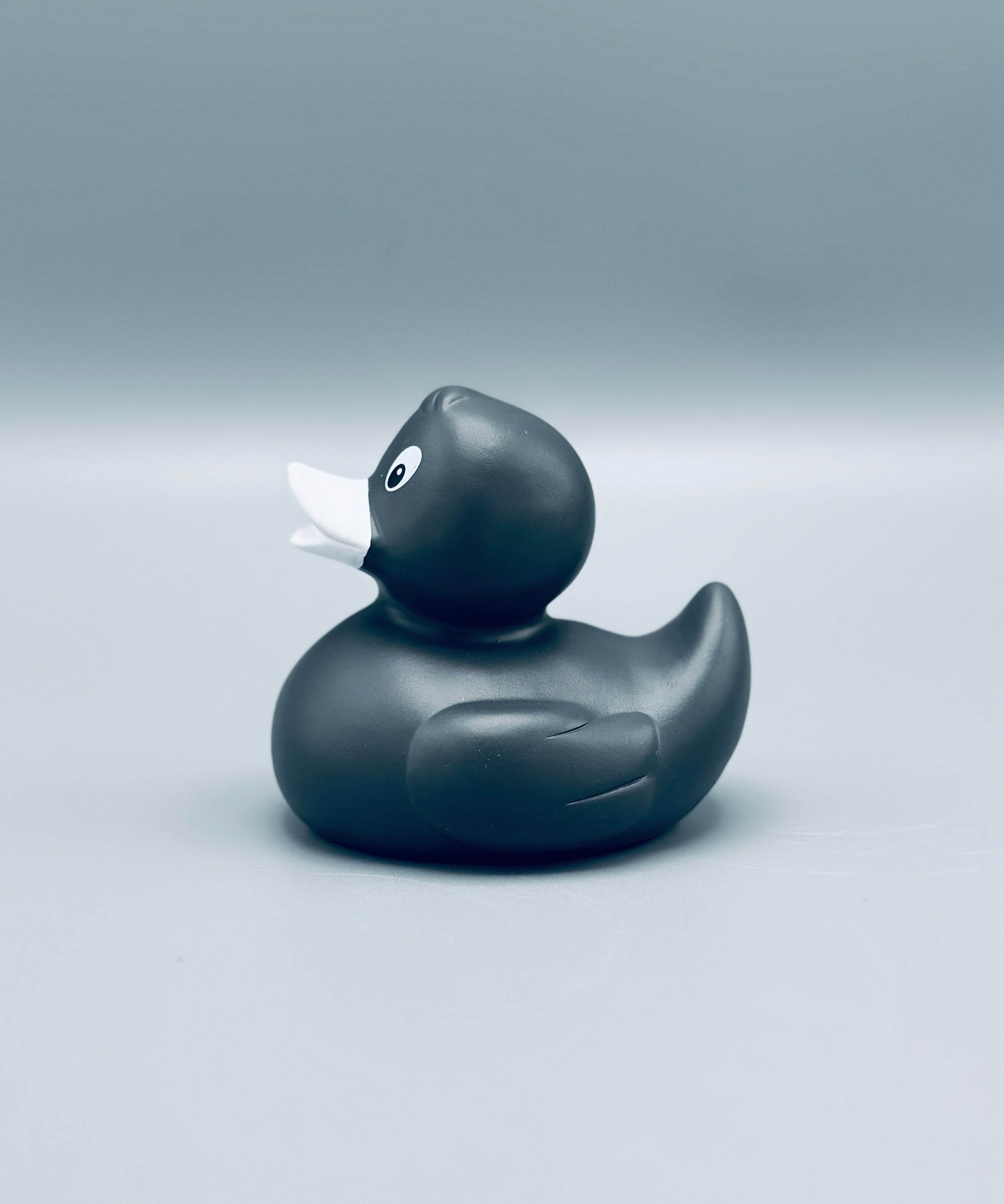 Graphite Duck