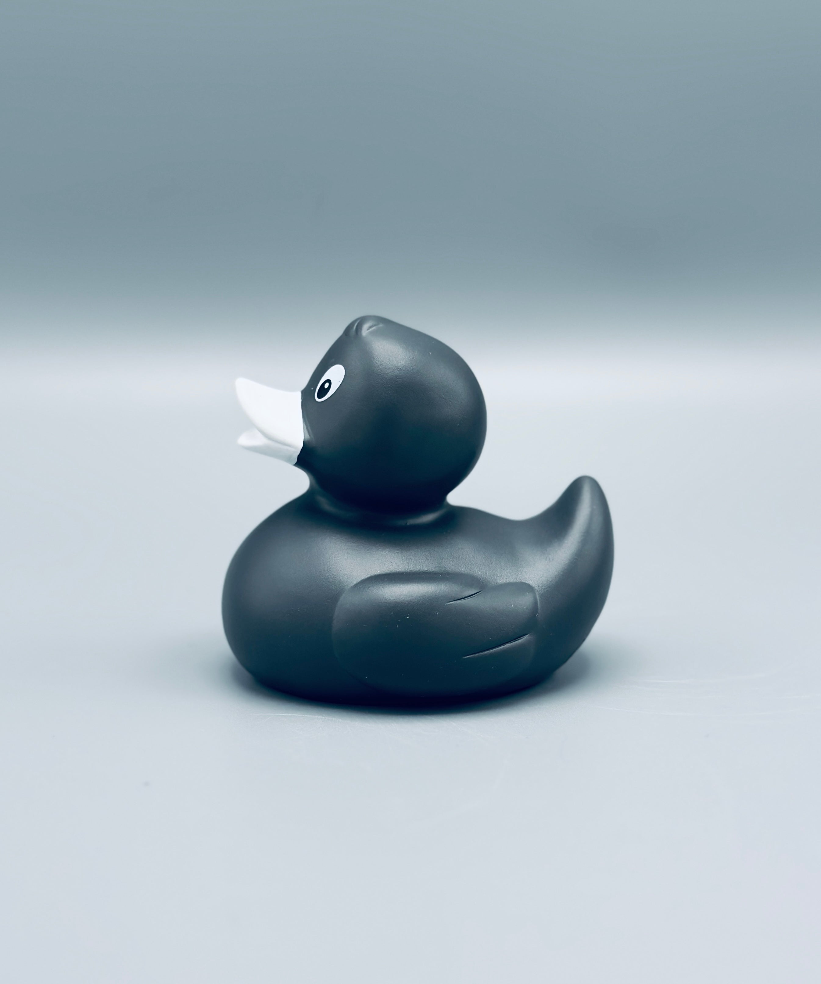 Graphite Duck