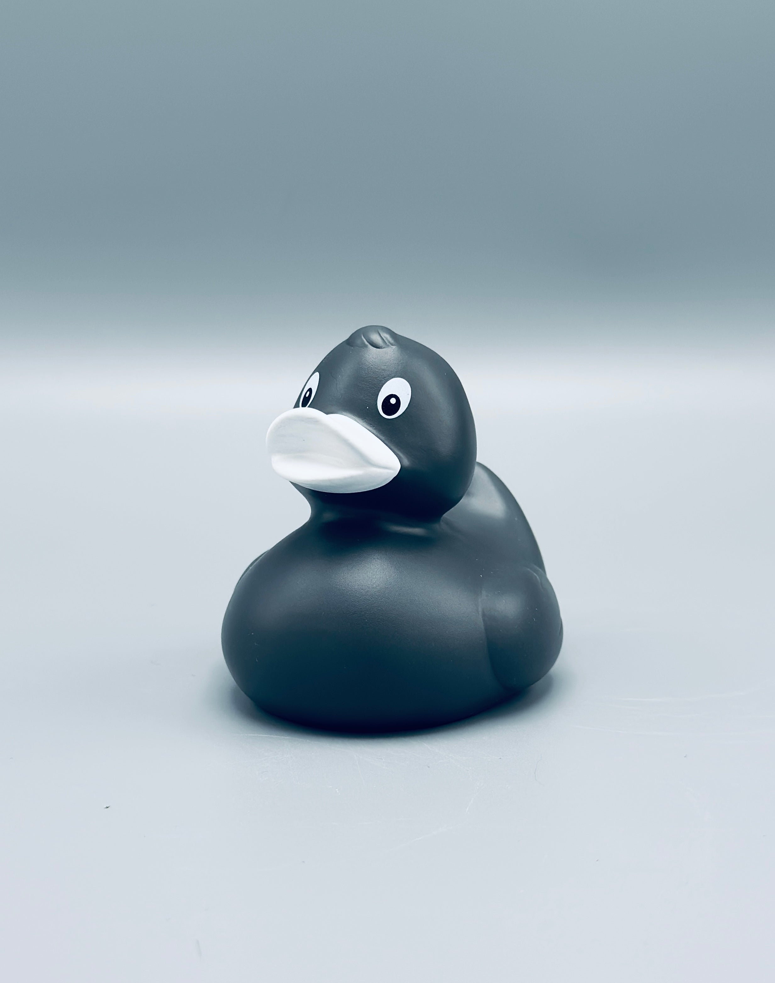 Graphite Duck