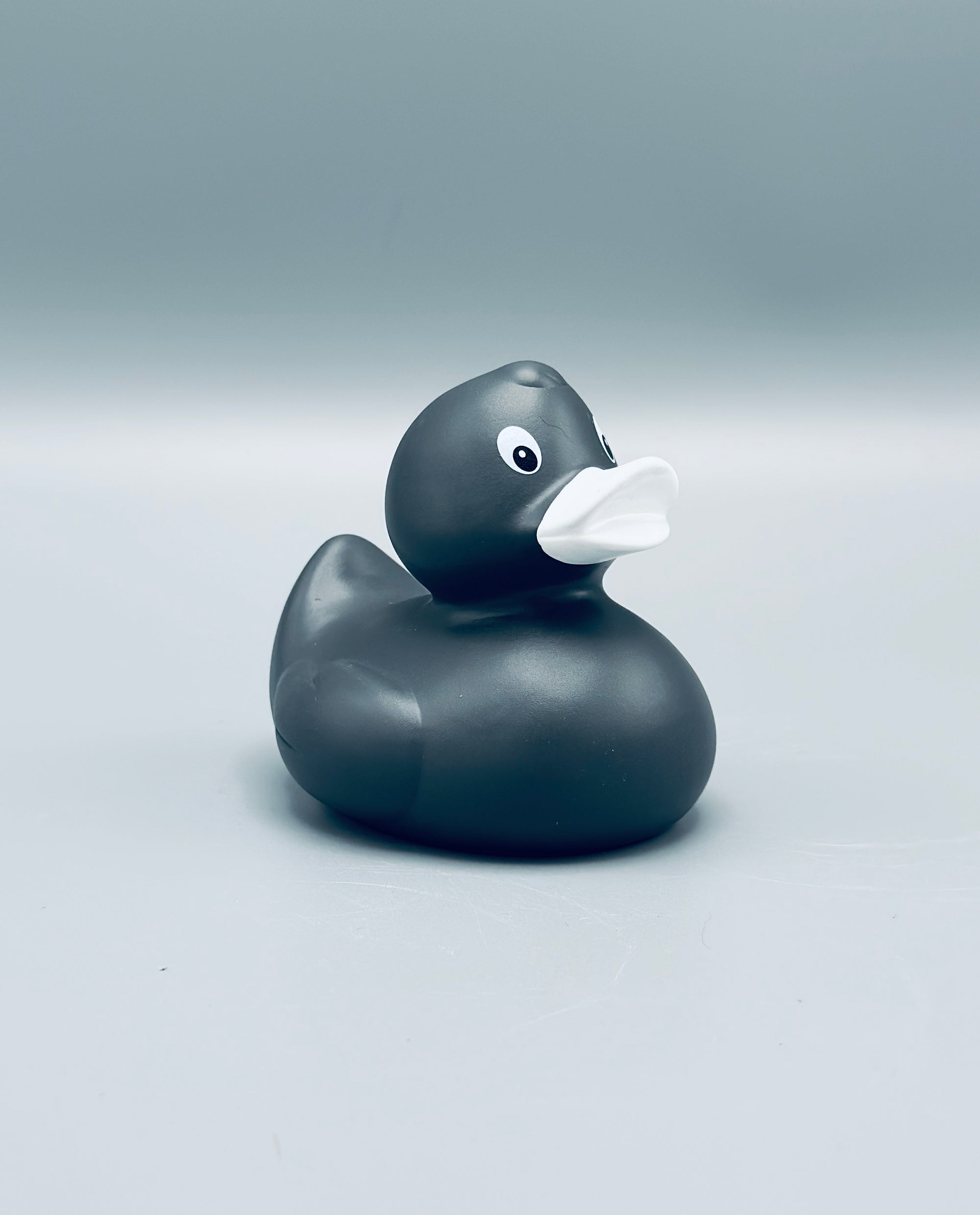Graphite Duck