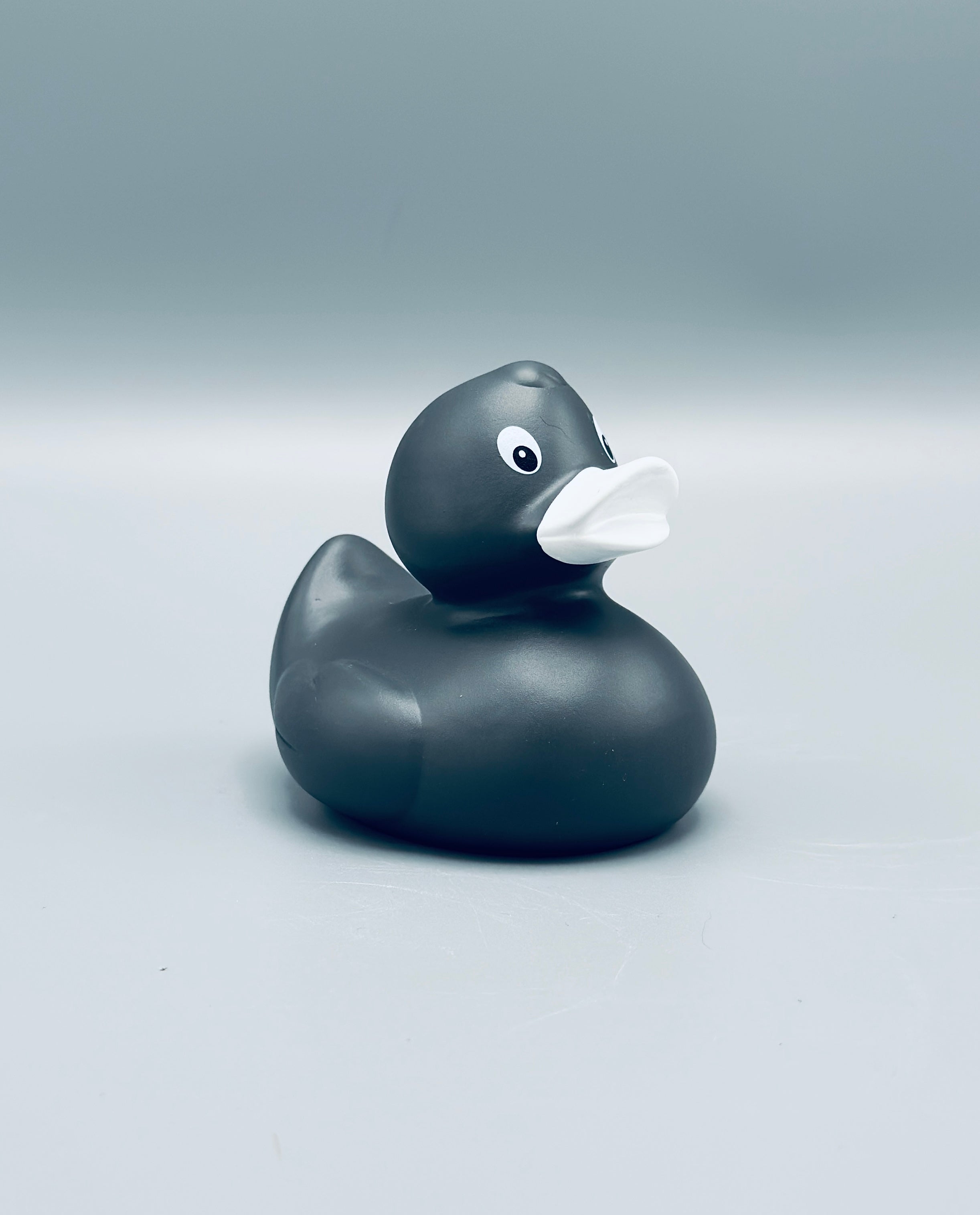 Graphite Duck