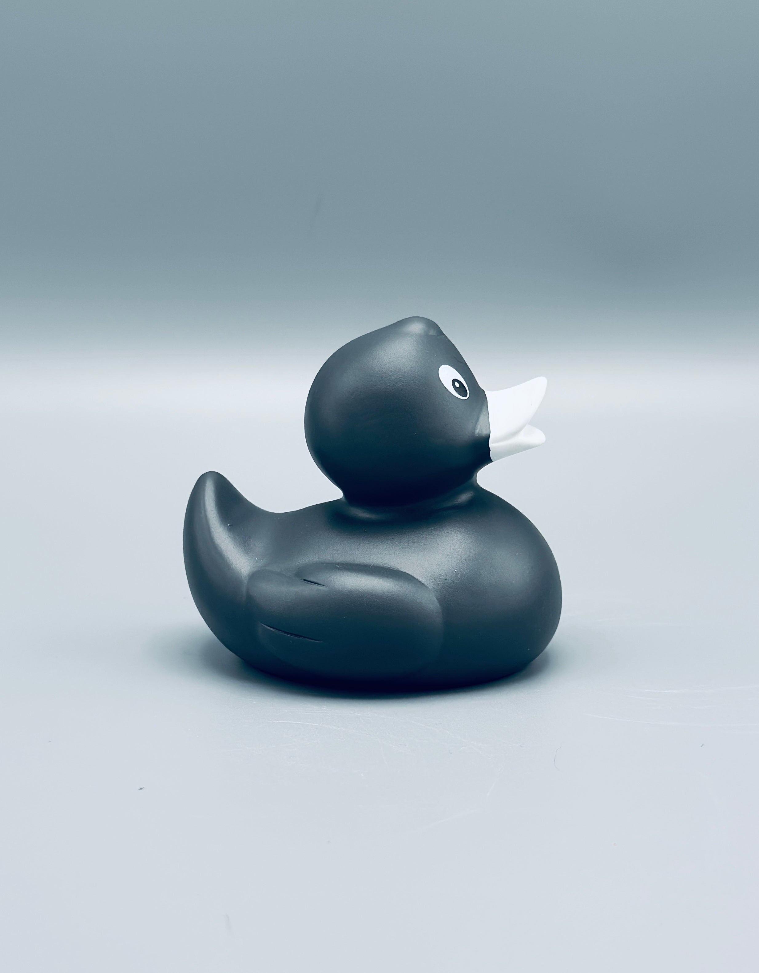 Graphite Duck