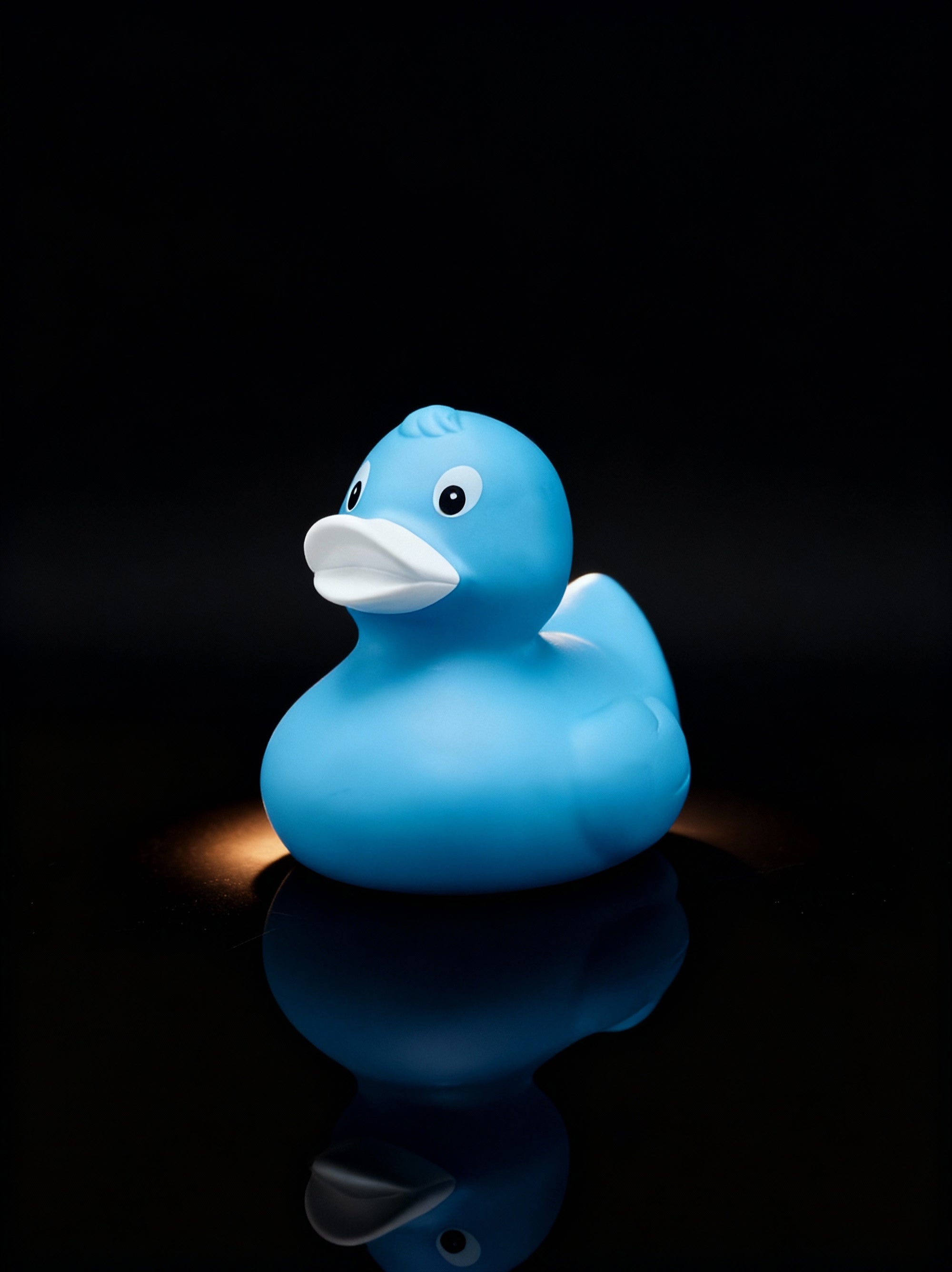 Ice Blue Duck