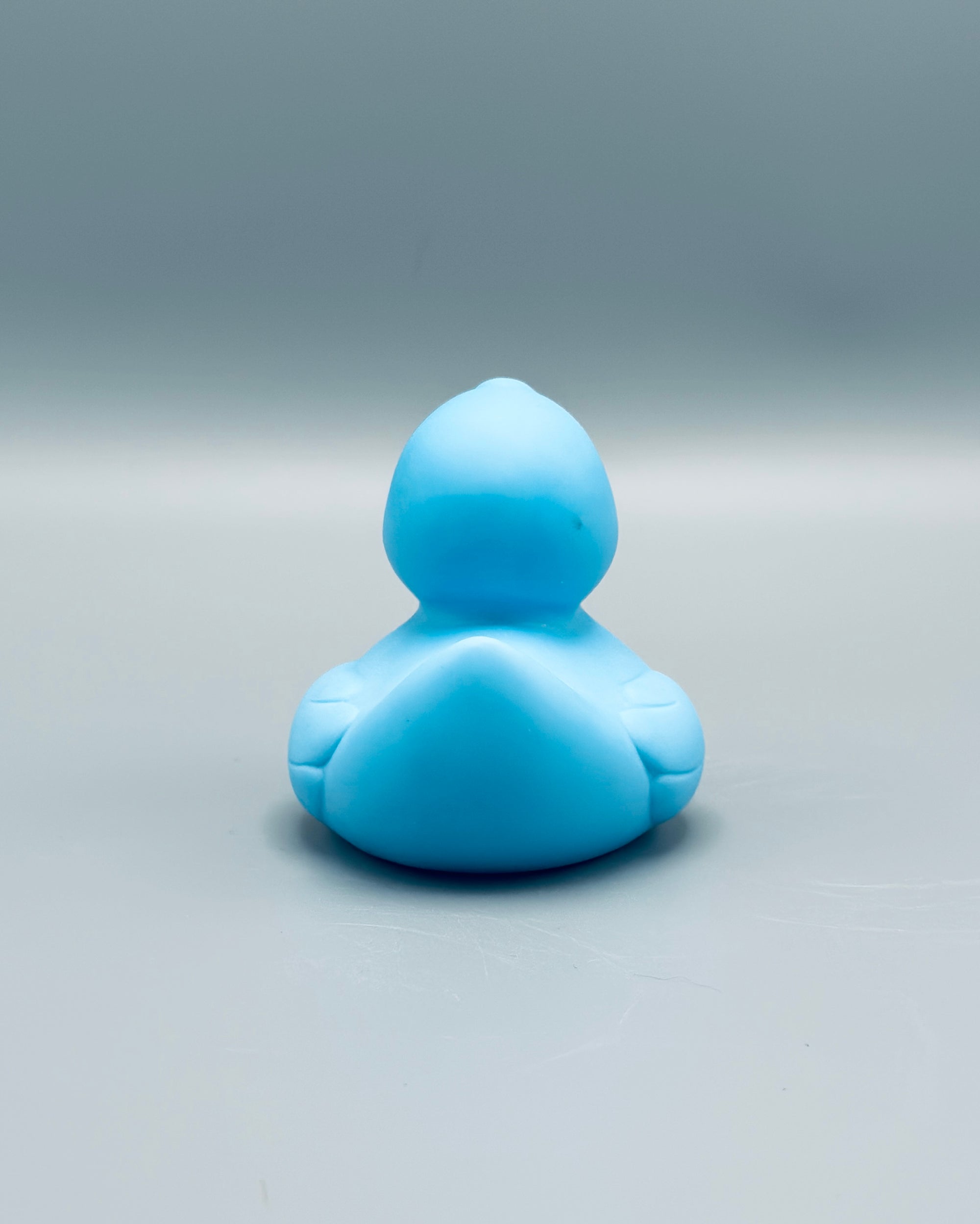 Ice Blue Duck