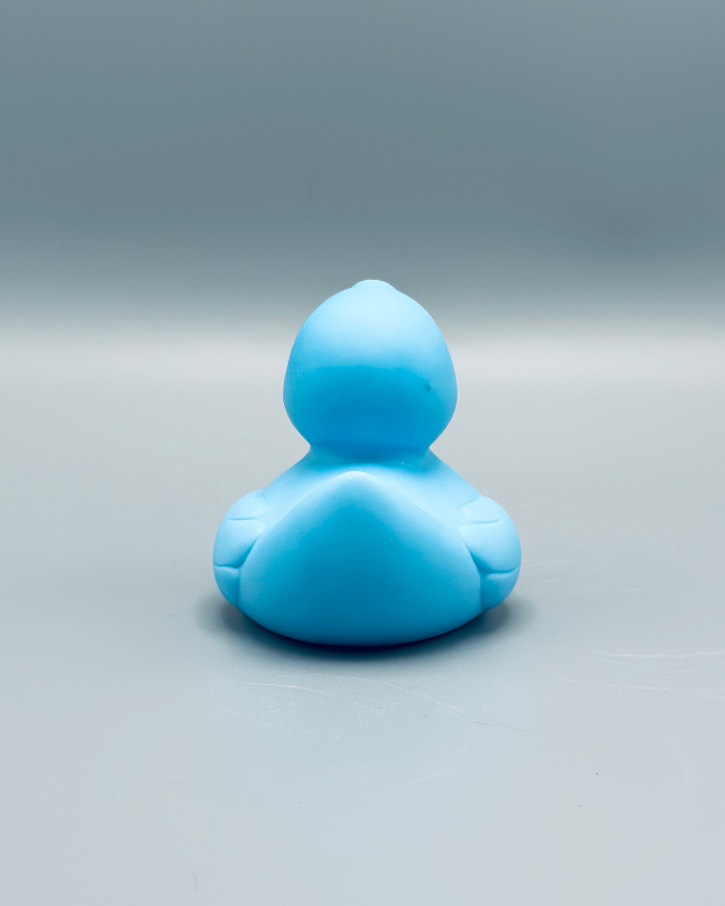 Ice Blue Duck
