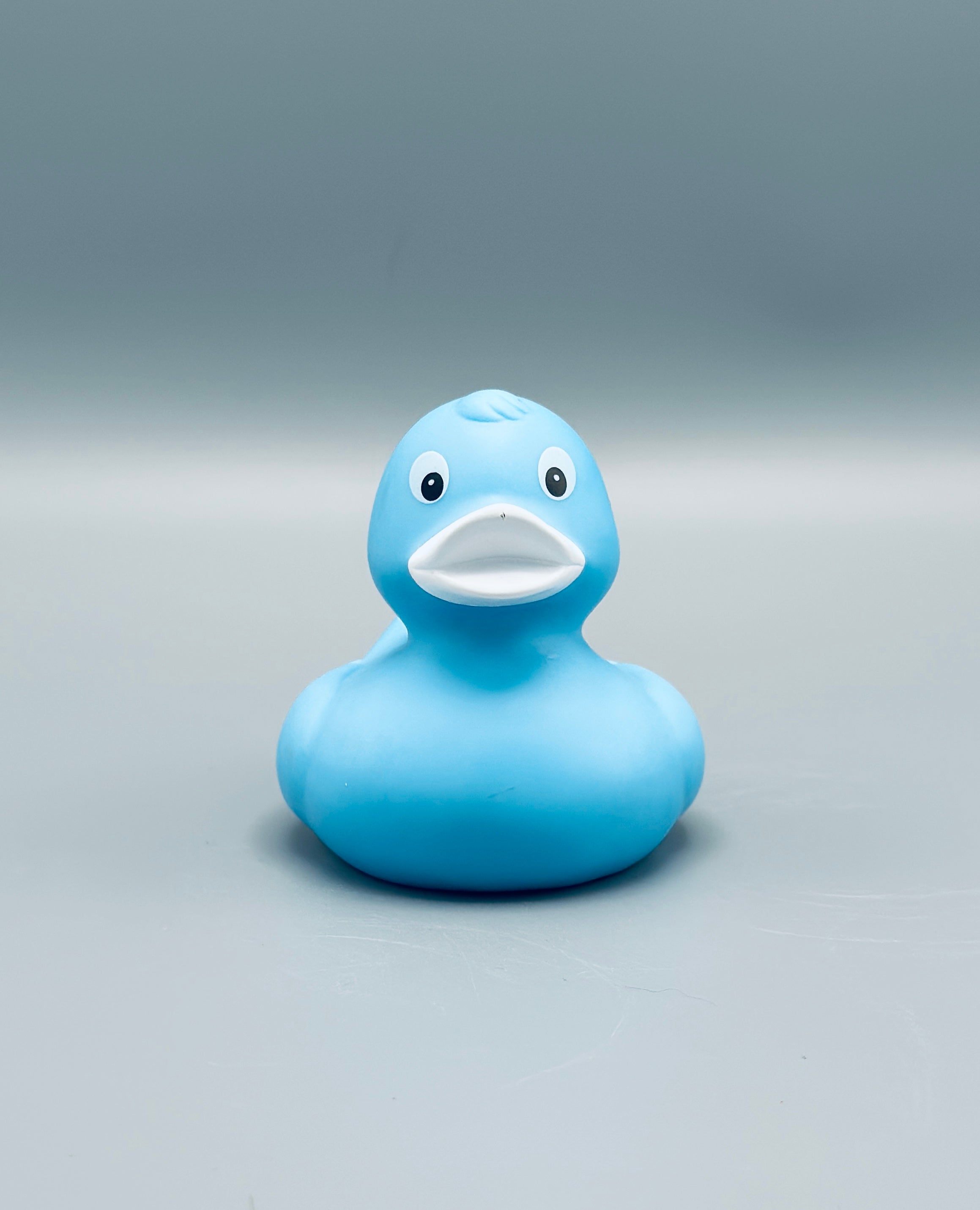Ice Blue Duck