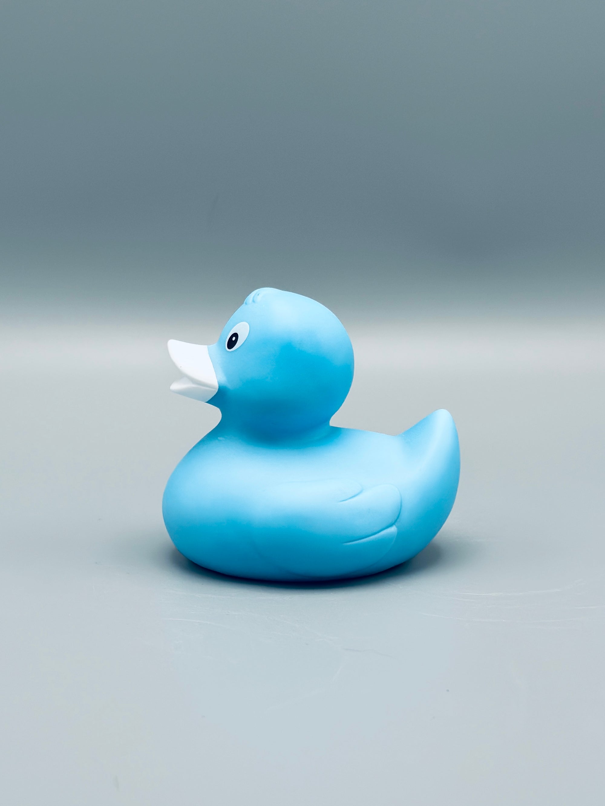 Ice Blue Duck