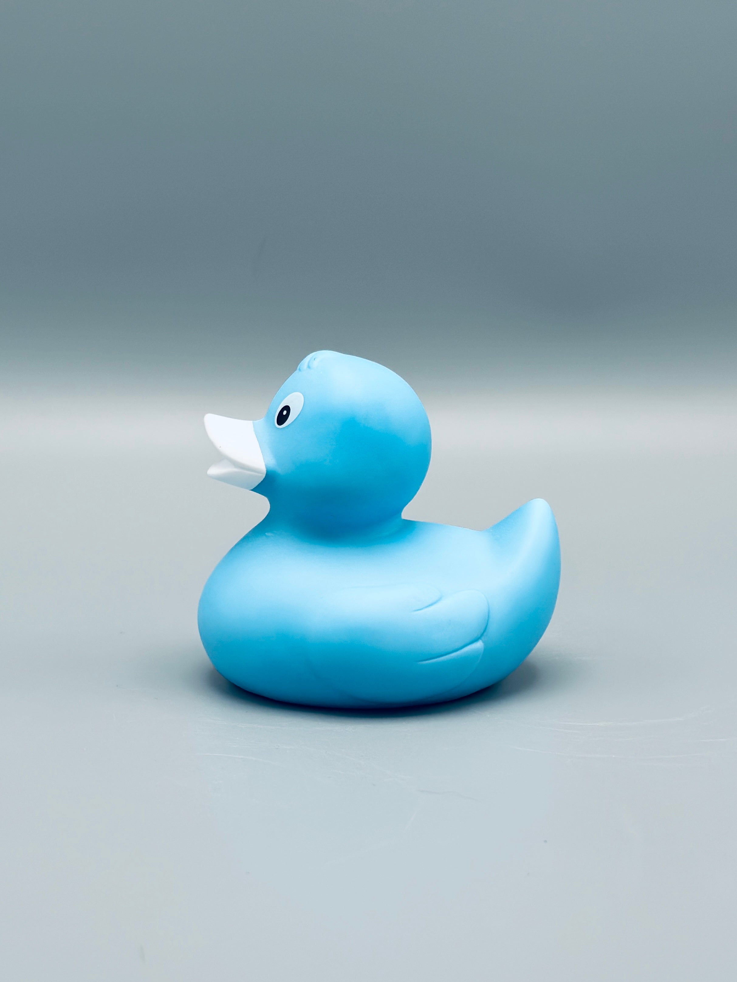 Ice Blue Duck