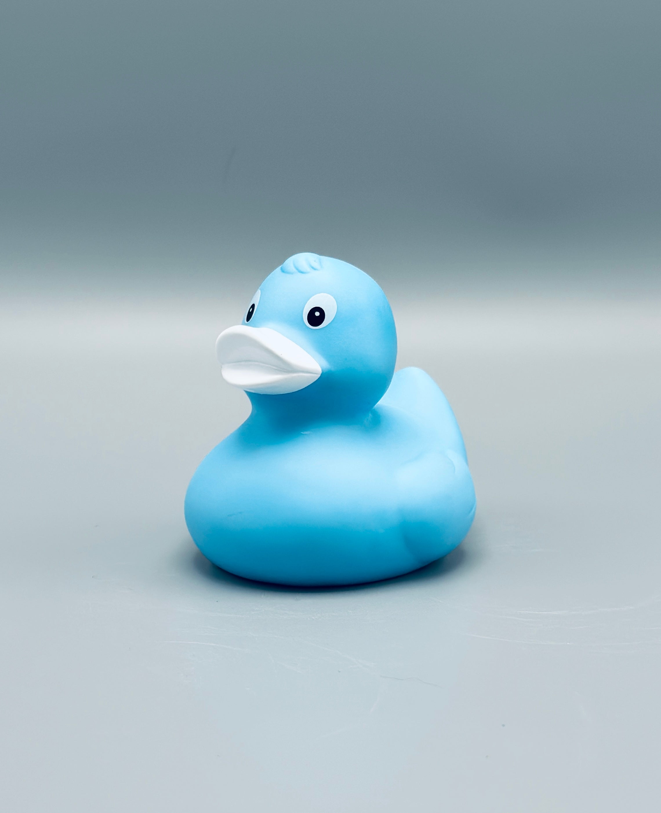 Ice Blue Duck