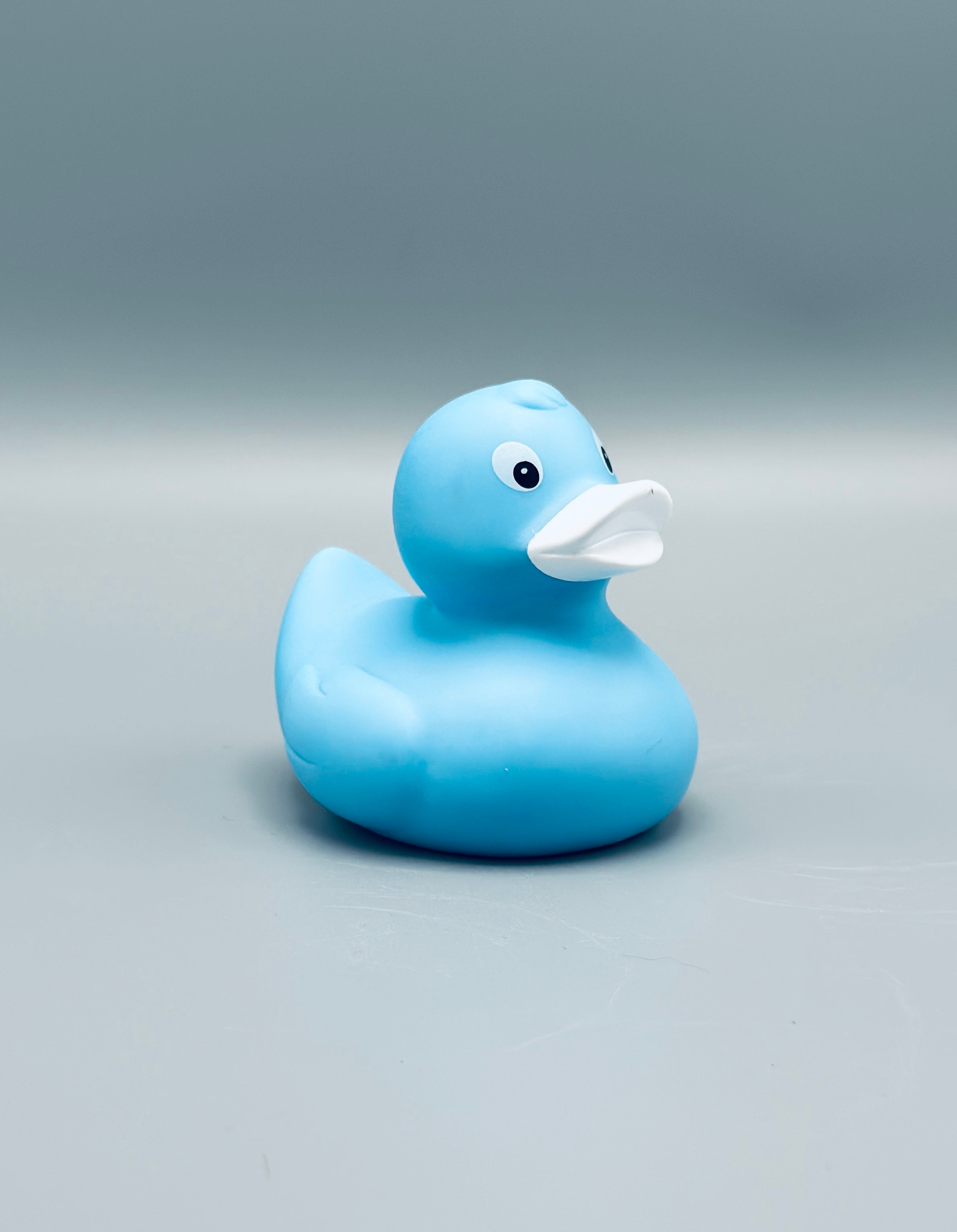 Ice Blue Duck