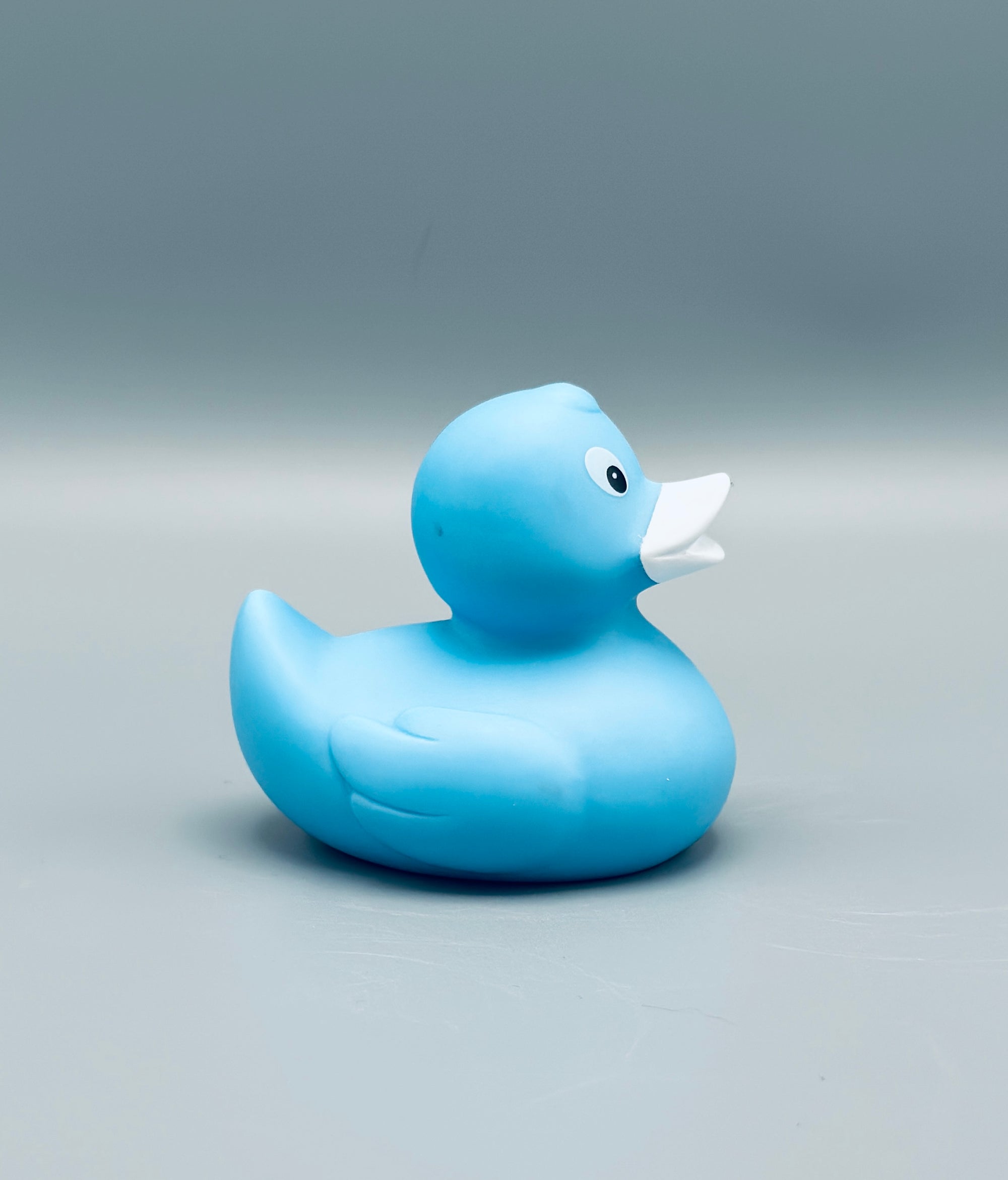 Ice Blue Duck
