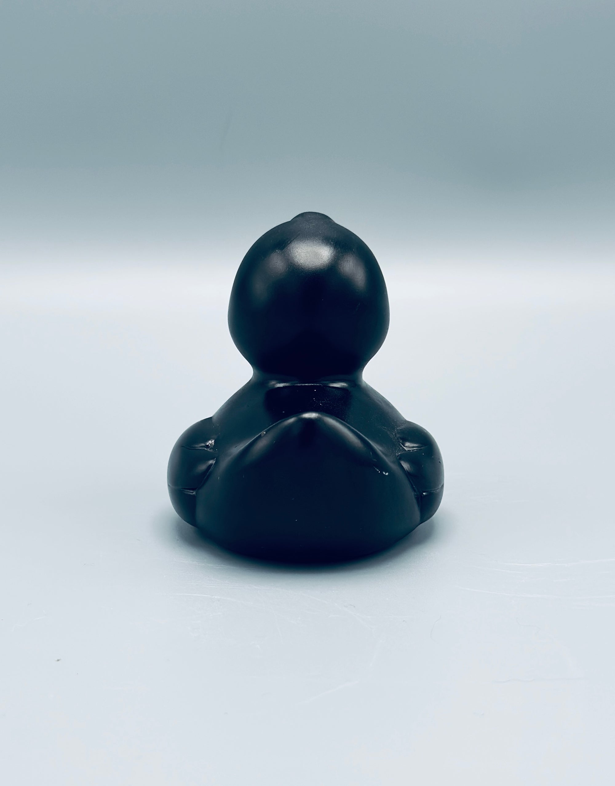 Metallic Black Duck