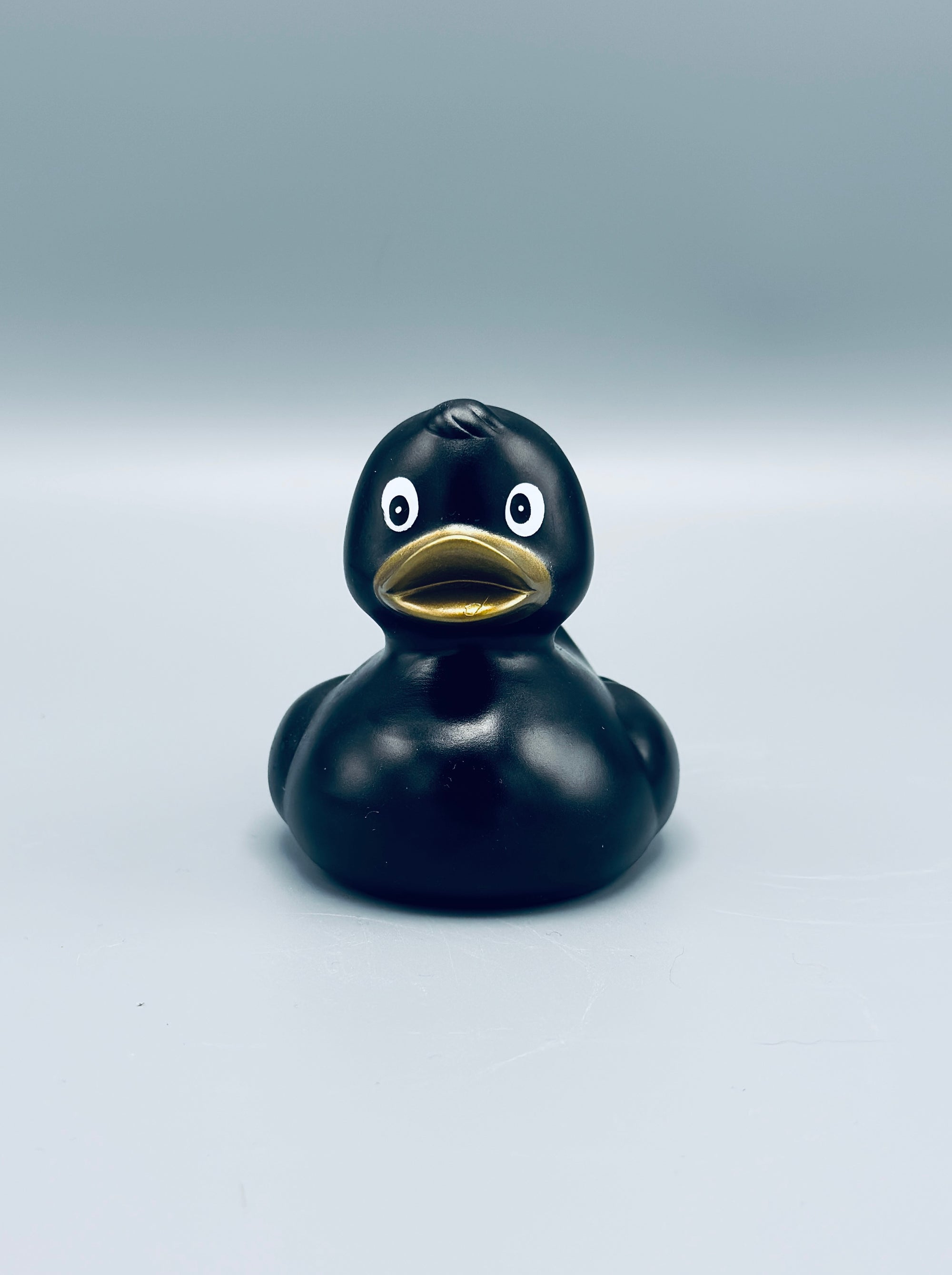 Metallic Black Duck