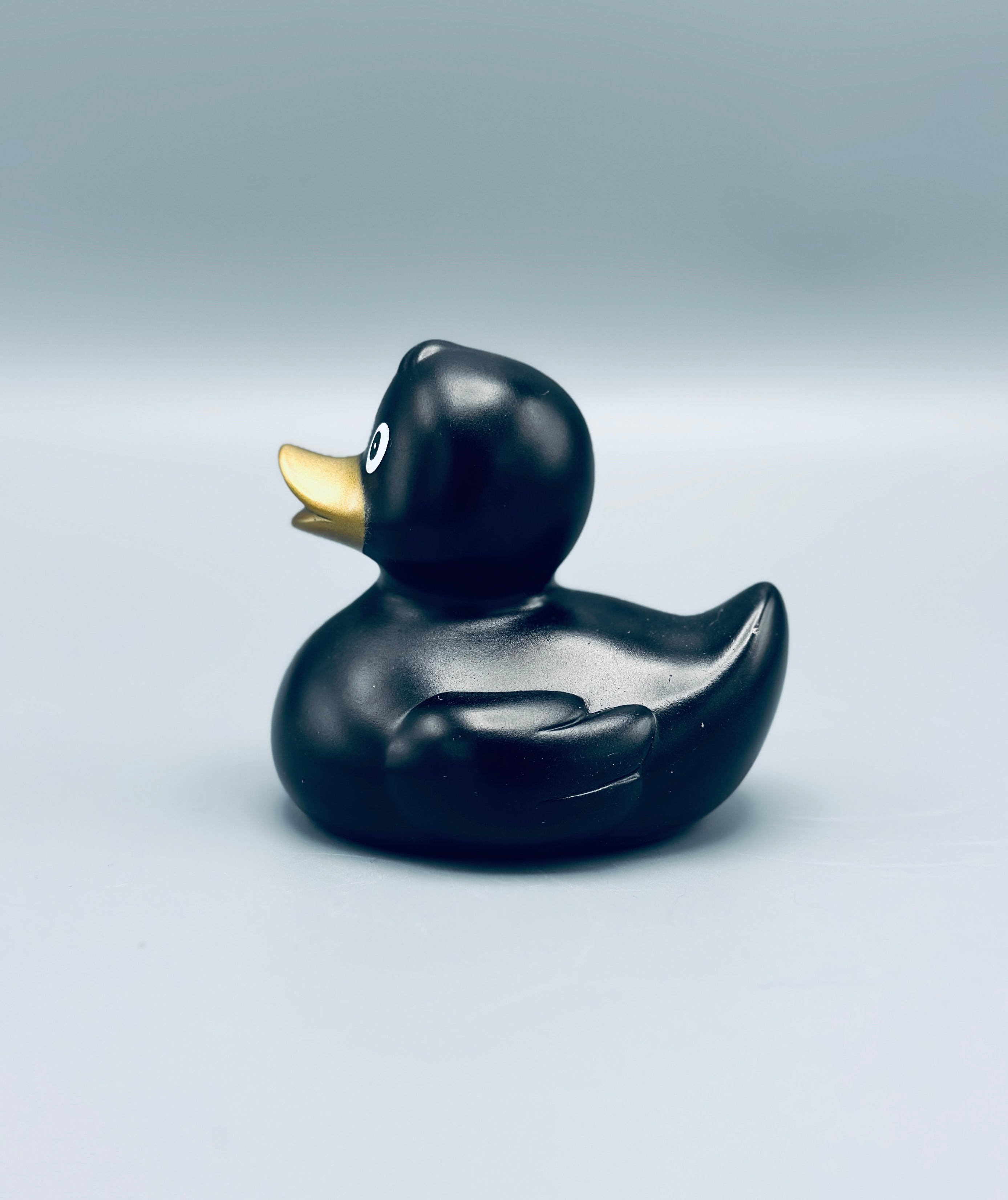 Metallic Black Duck