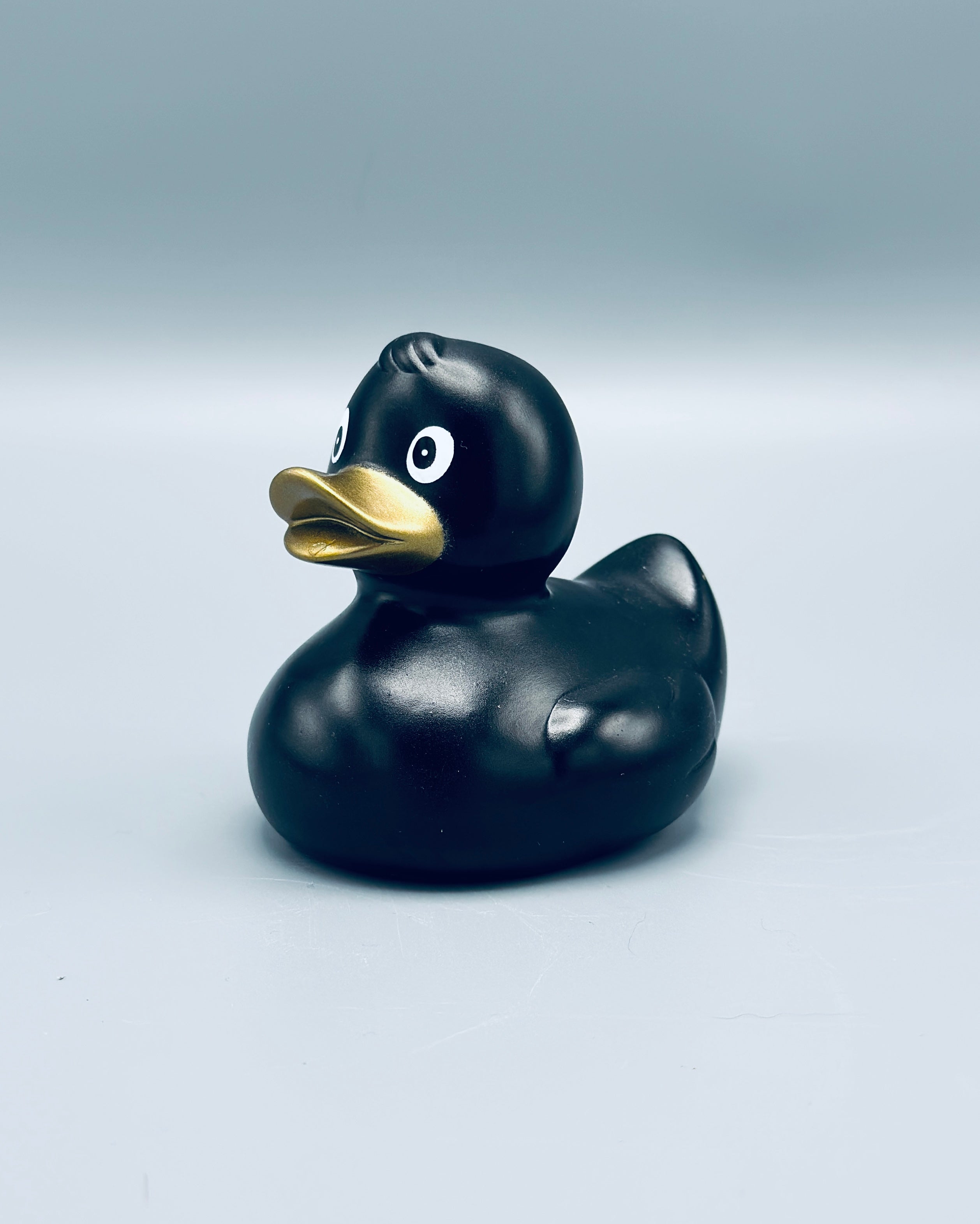 Metallic Black Duck