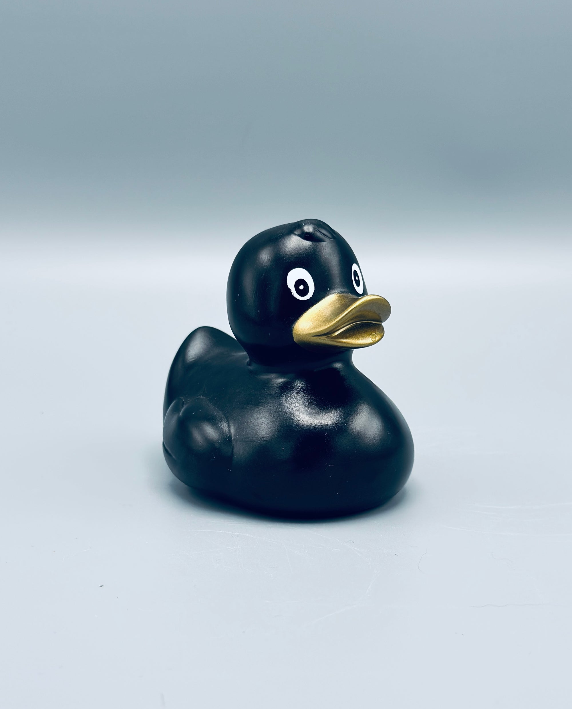 Metallic Black Duck
