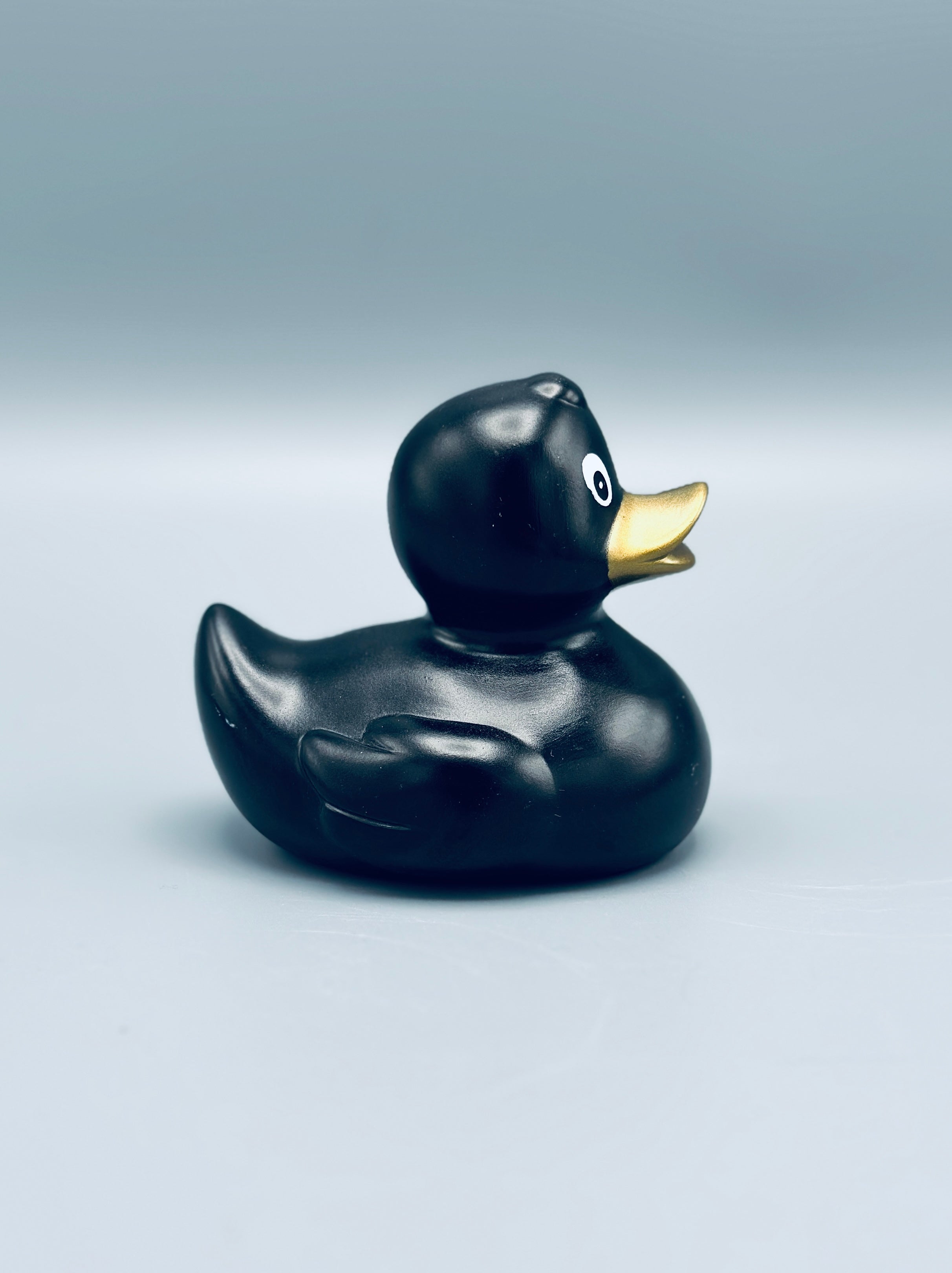 Metallic Black Duck
