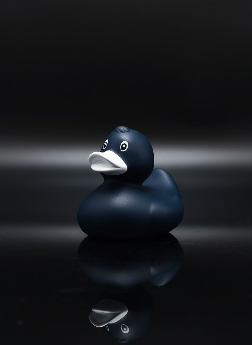 Midnight Blue Duck