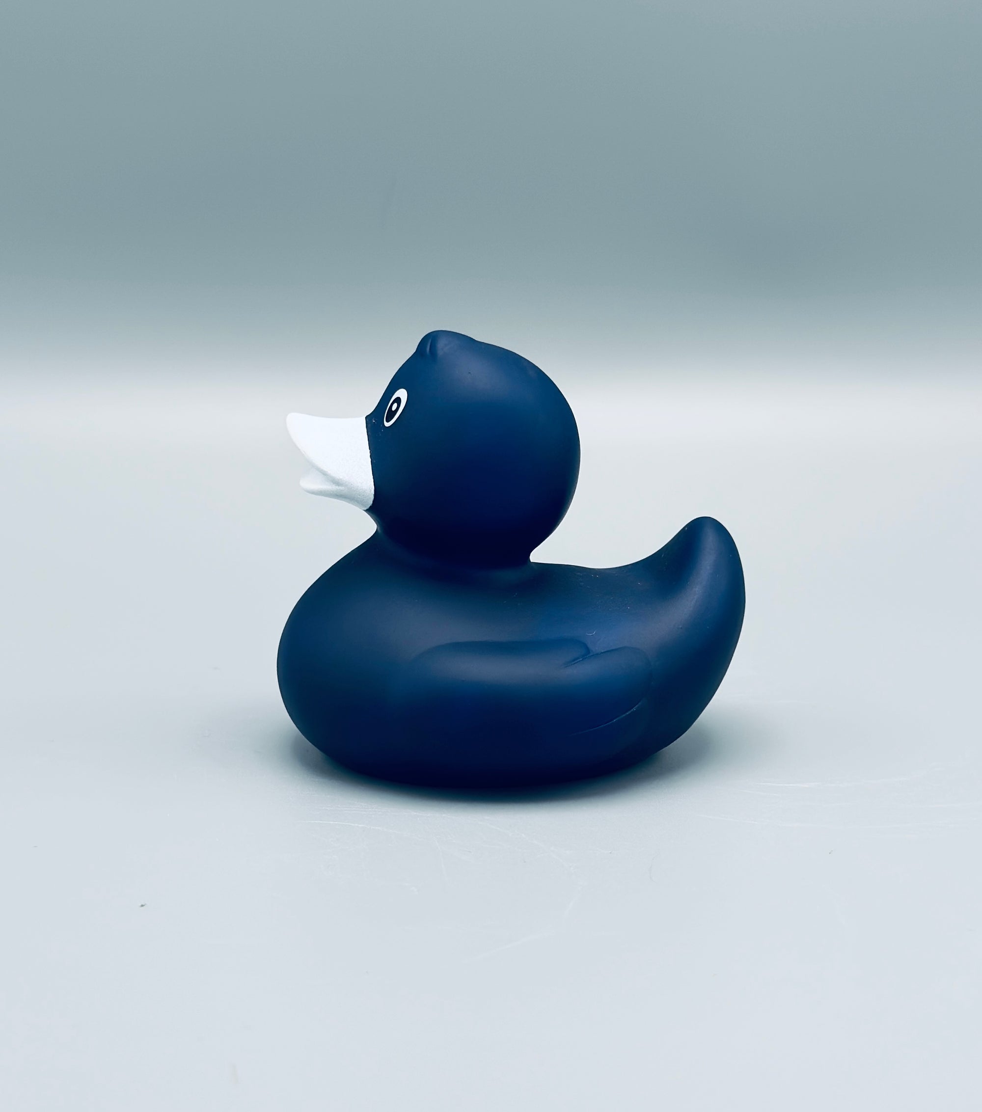 Midnight Blue Duck