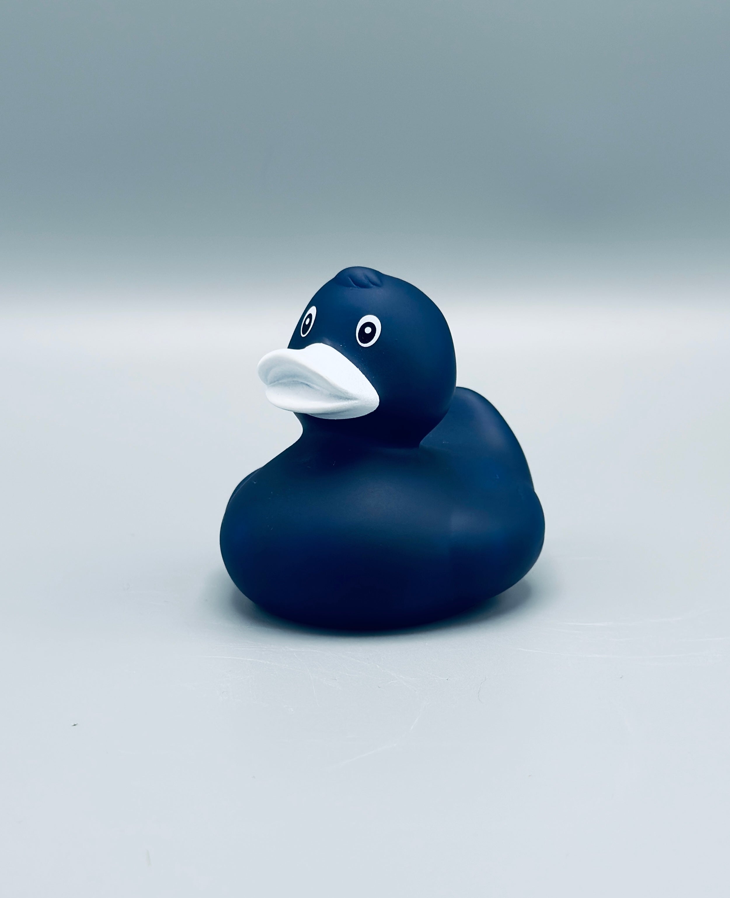 Midnight Blue Duck