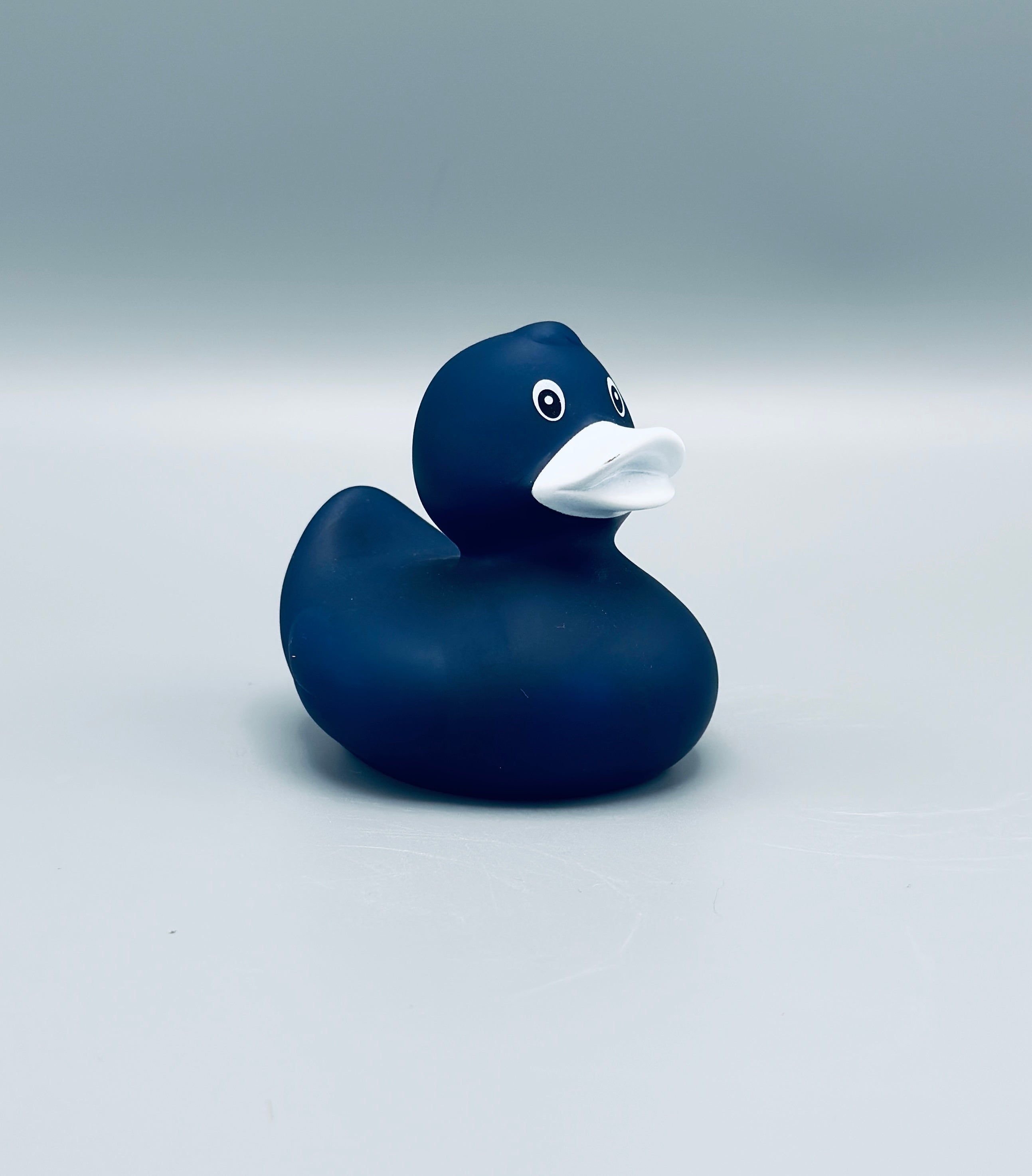 Midnight Blue Duck