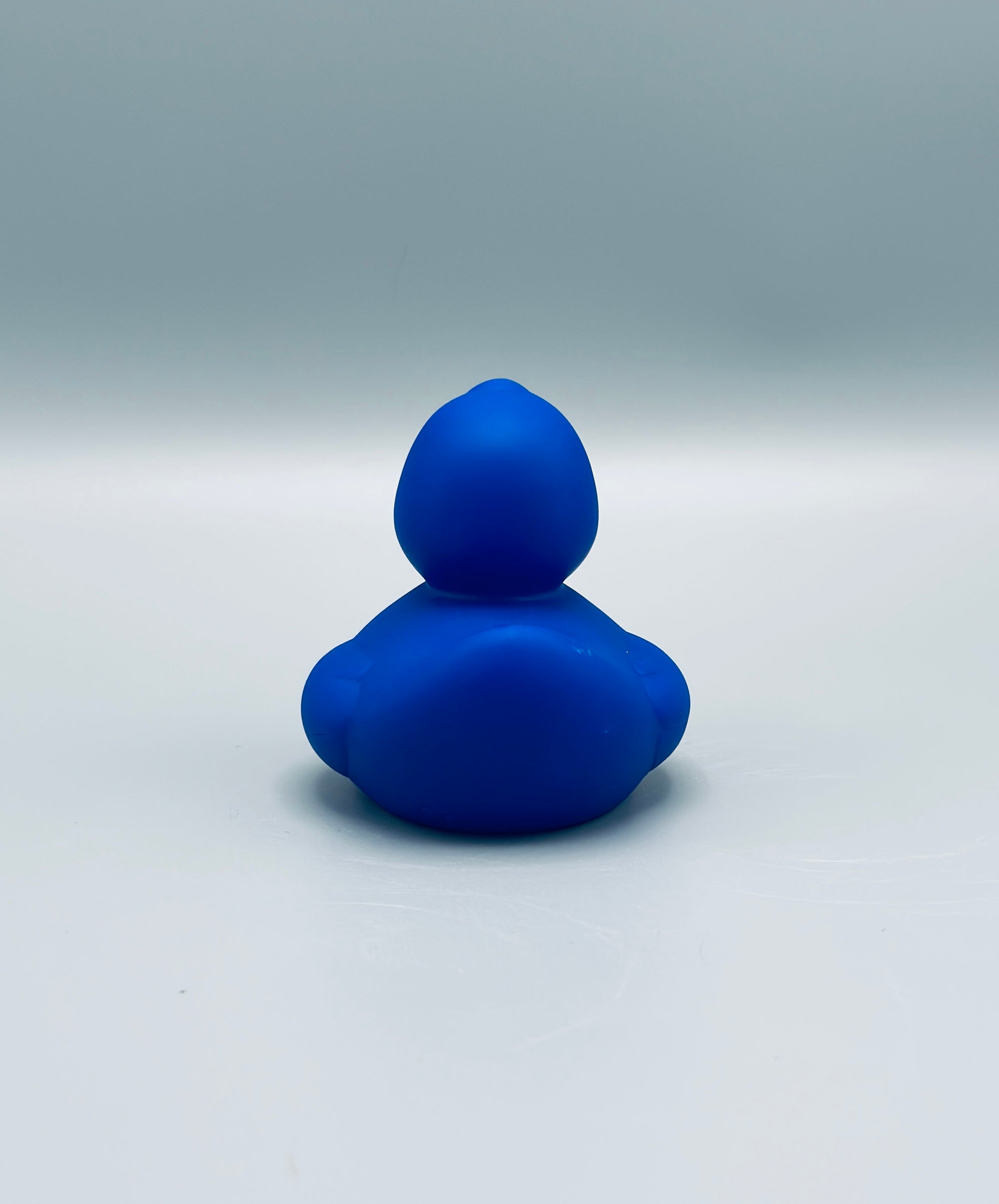 Royal Blue Duck