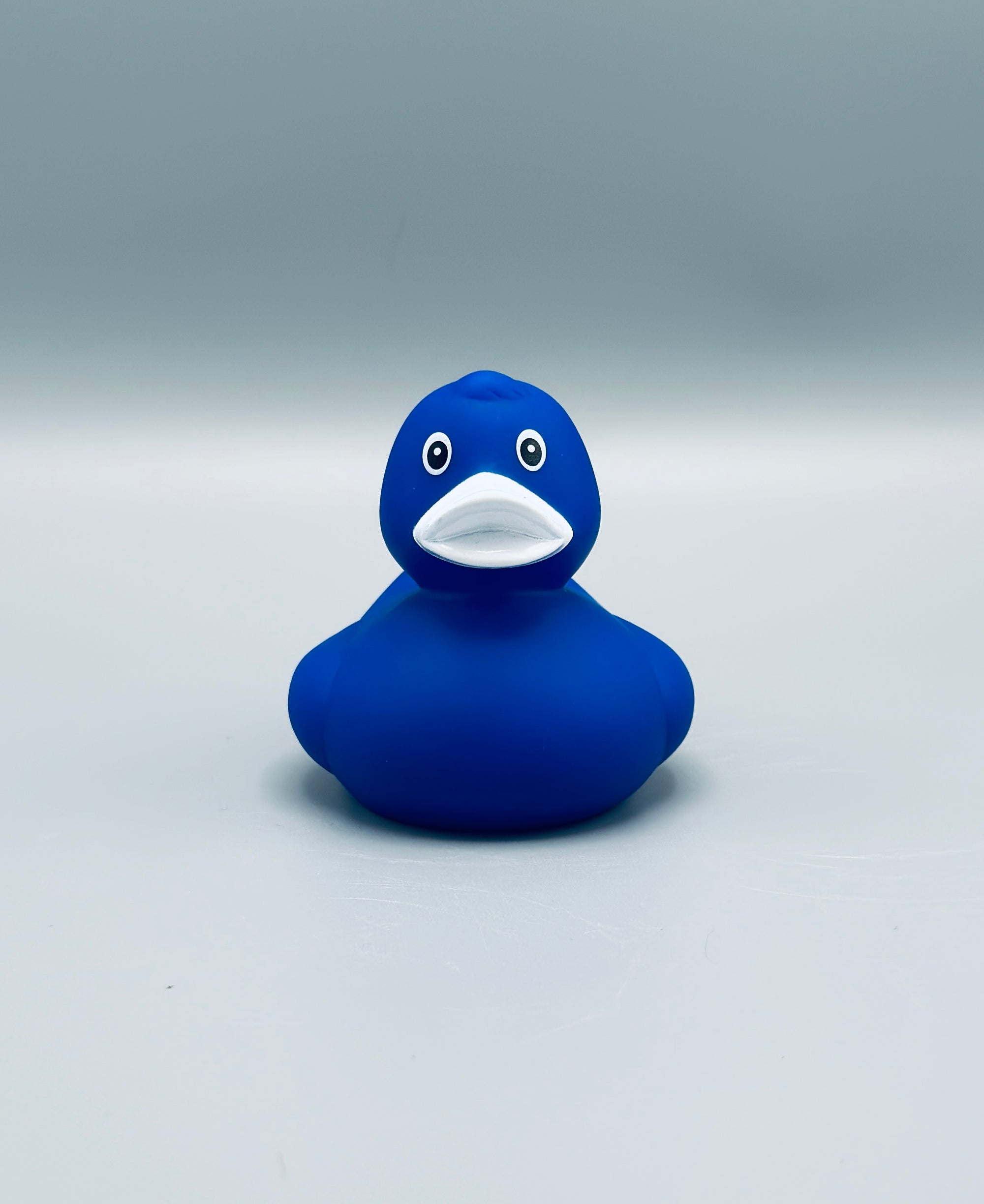 Royal Blue Duck