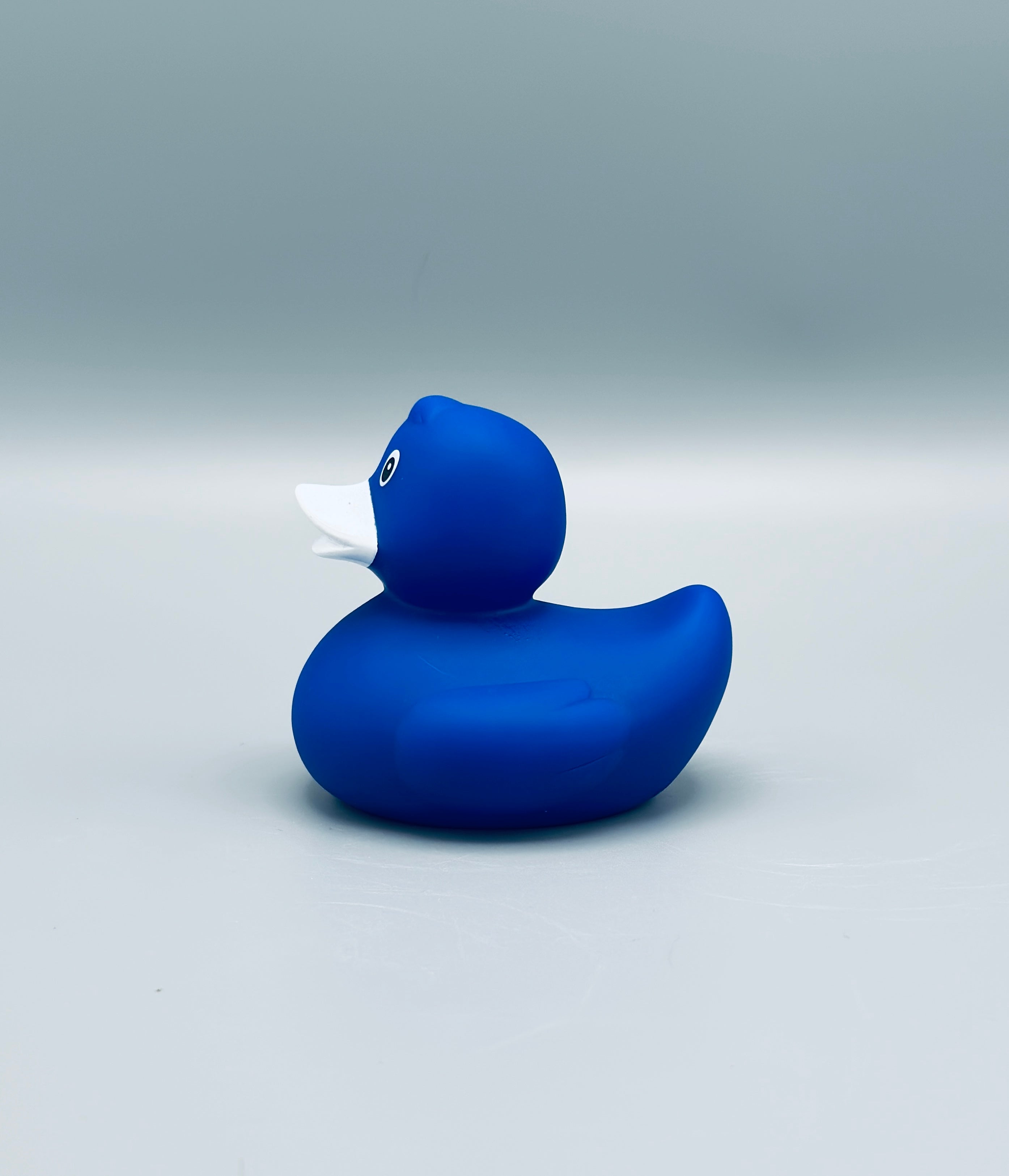 Royal Blue Duck