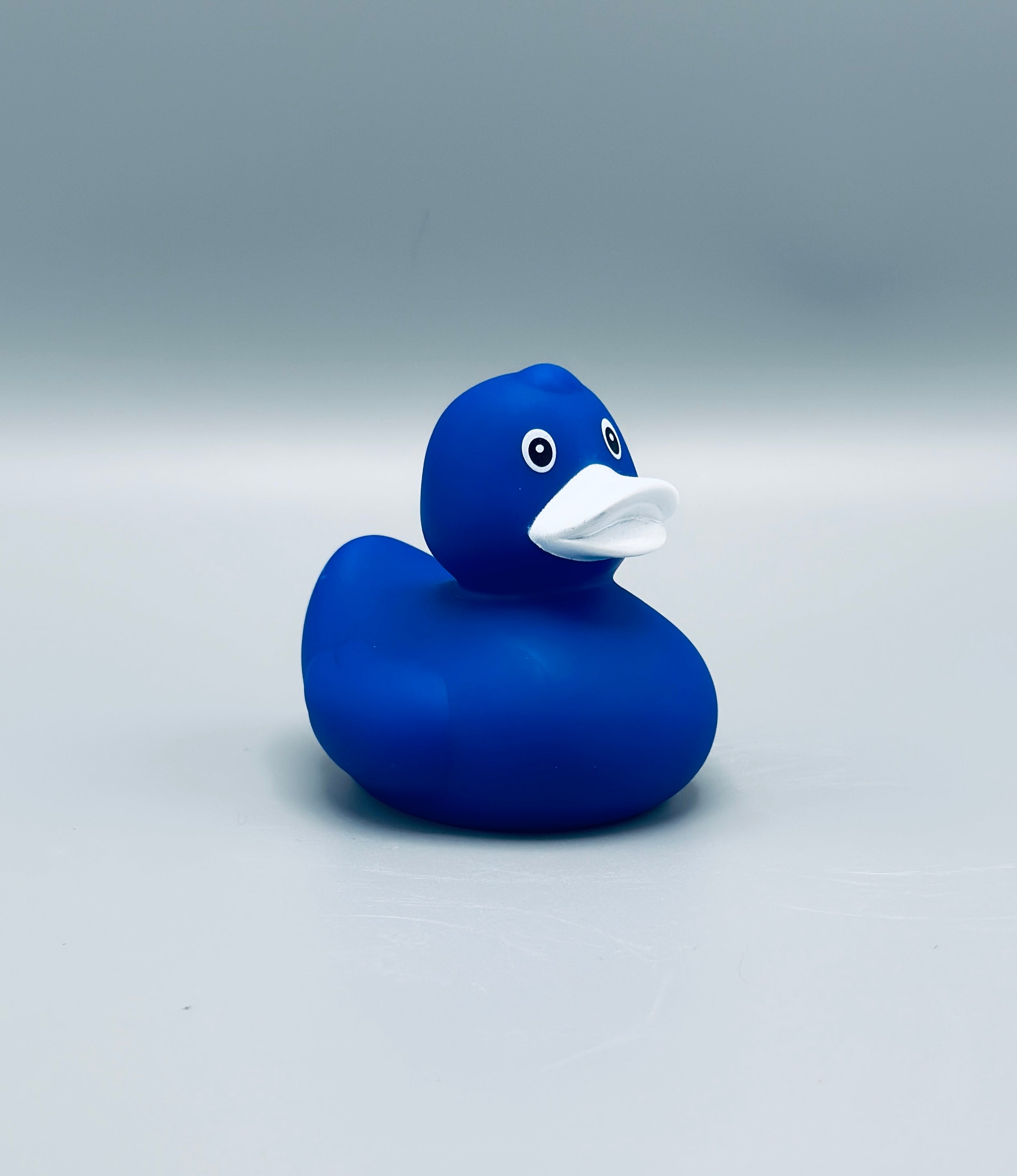 Royal Blue Duck