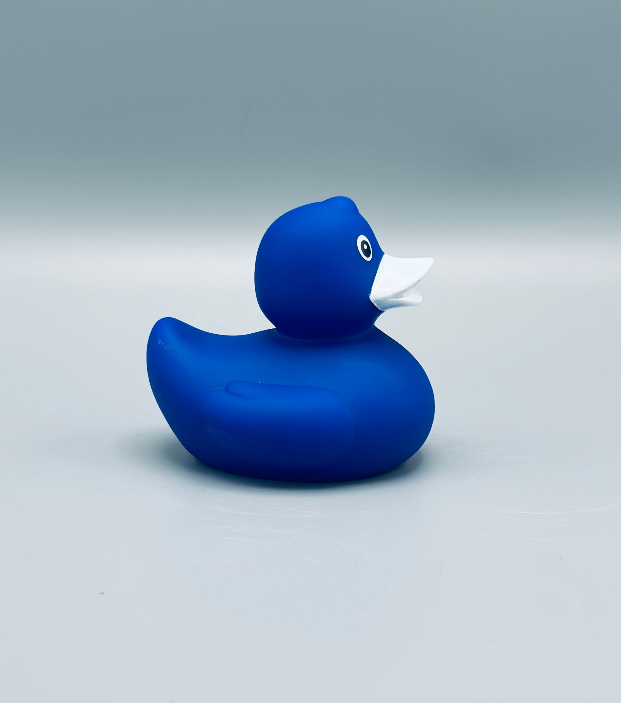 Royal Blue Duck