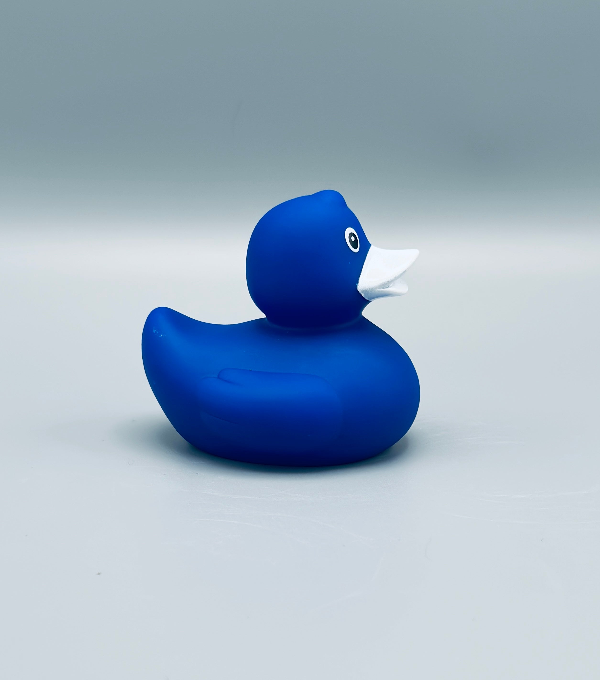 Royal Blue Duck