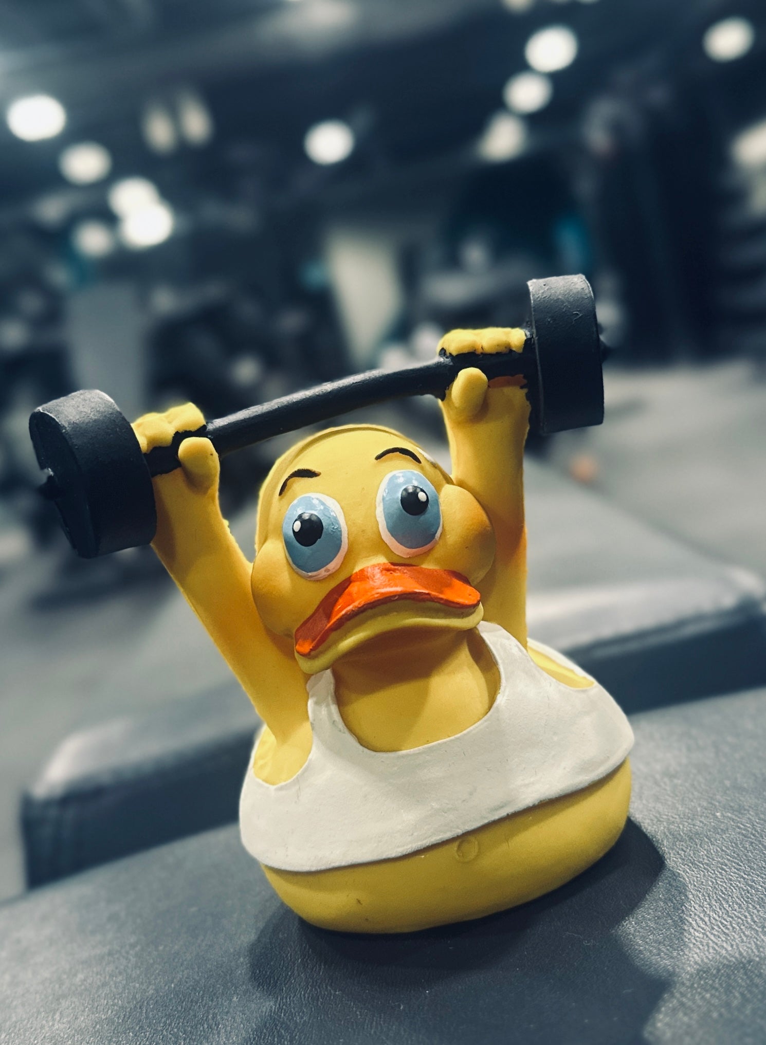 Rubber duck lifting a barbell in gym with a blurred background
